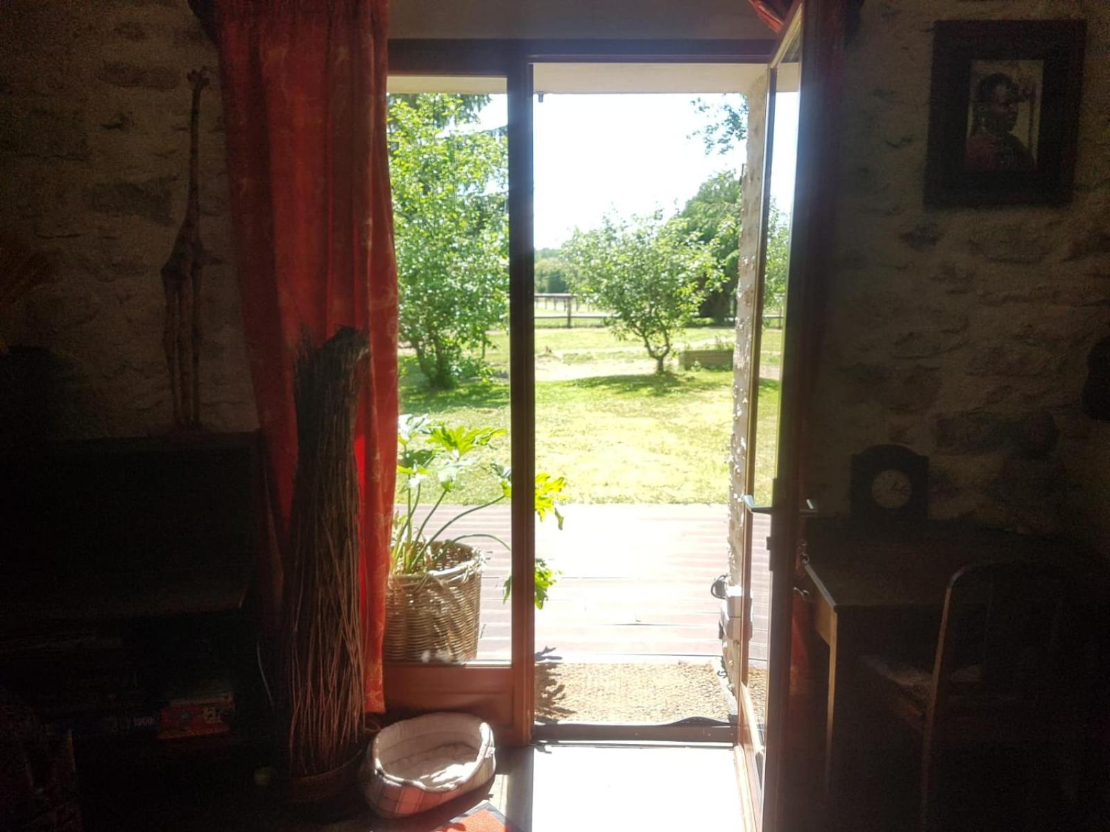 En pleine nature view 2