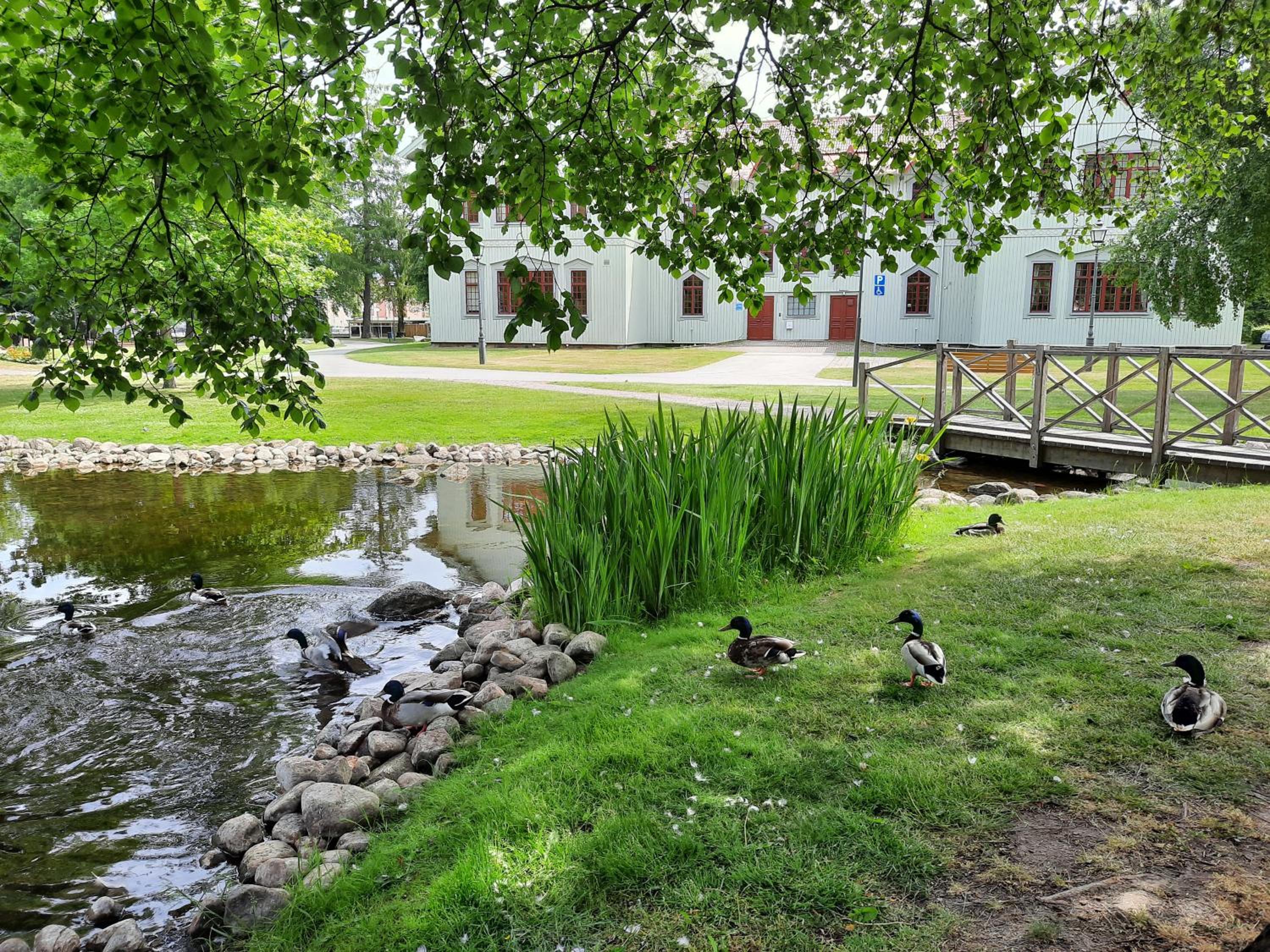 Photo 43
