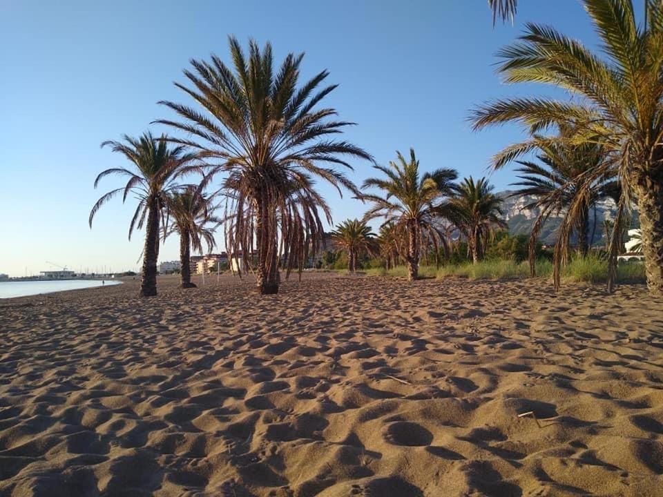 Photo 43