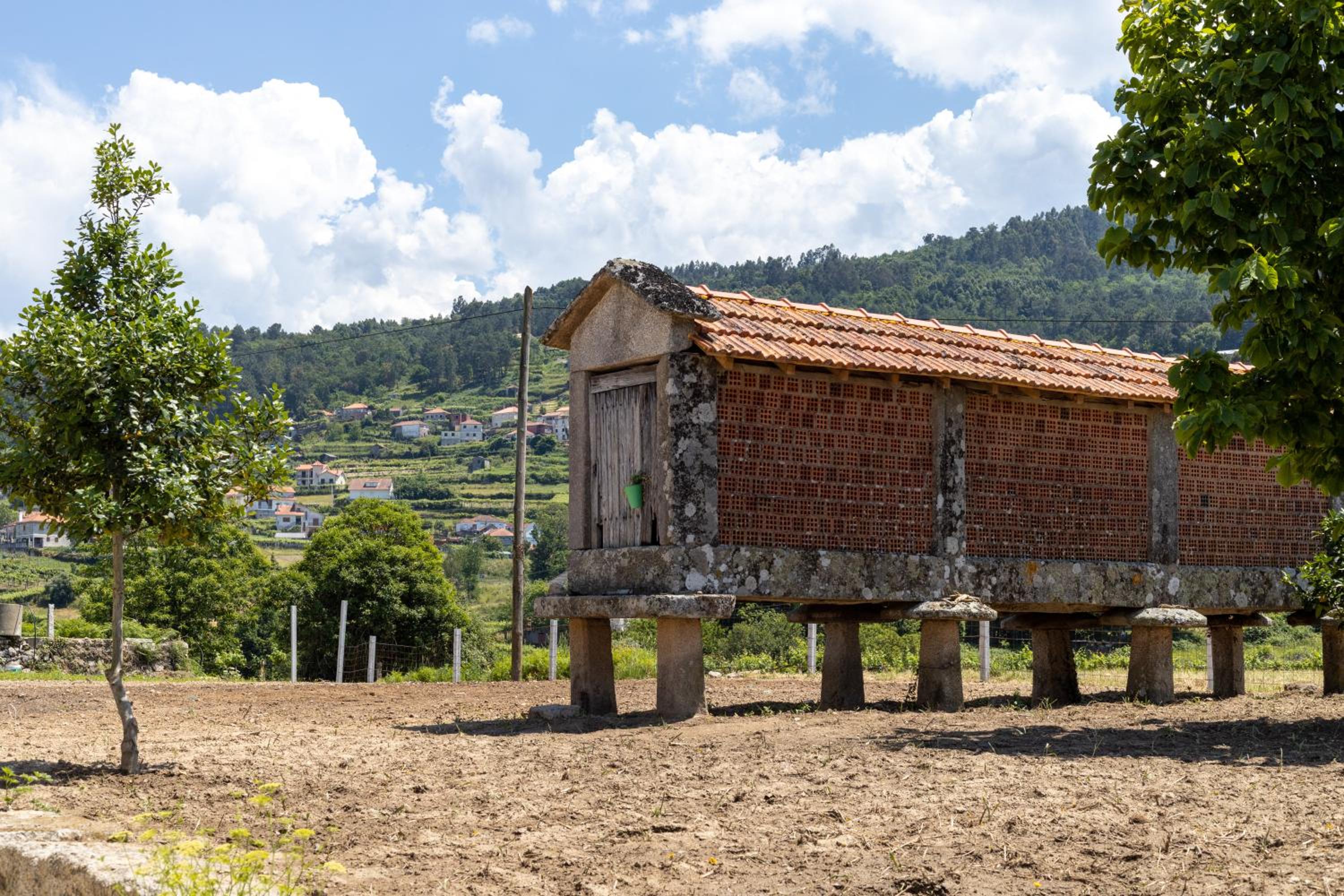 Casa da Veiga view 4