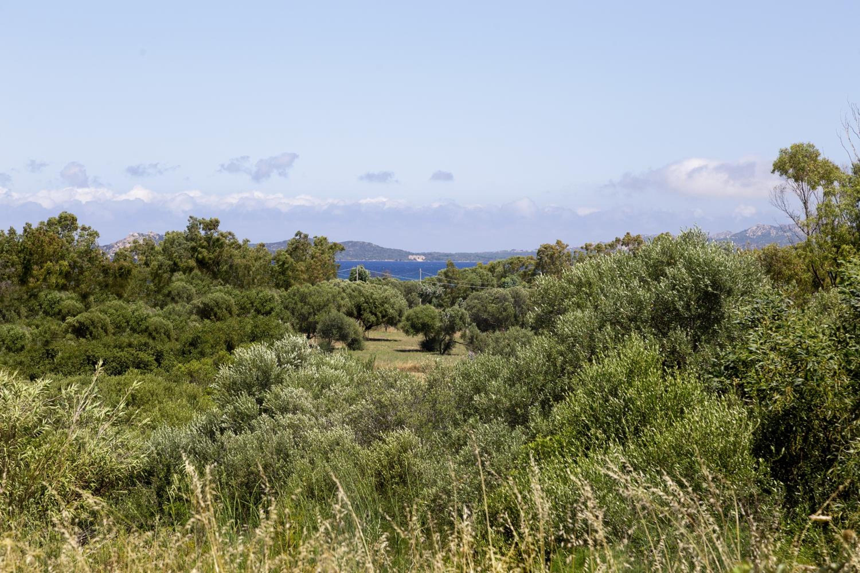 Residence Capraggia
