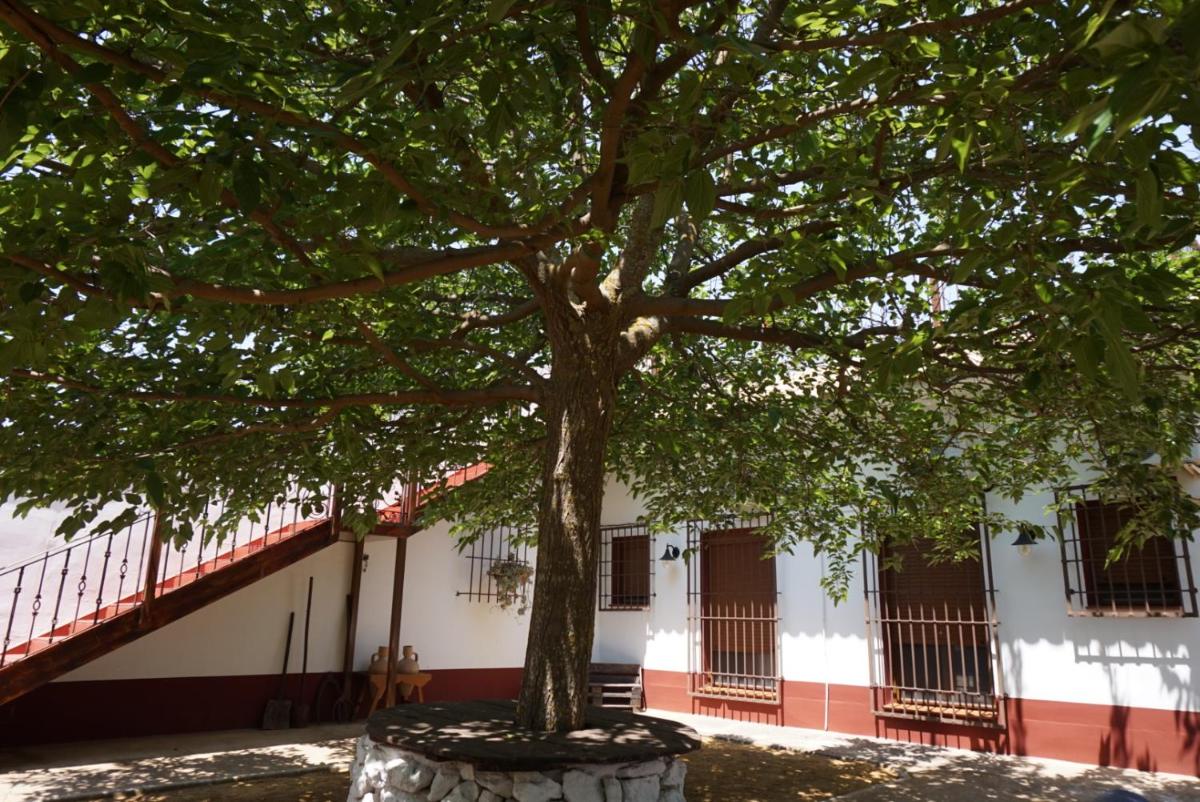 Casa Rural El Palomar photo 3