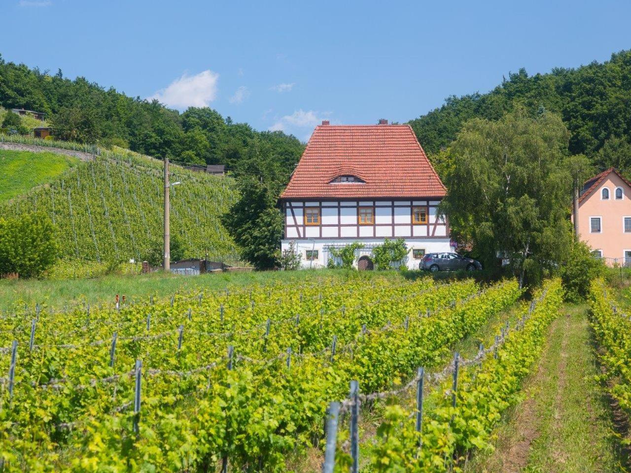Alt Coswigerhof