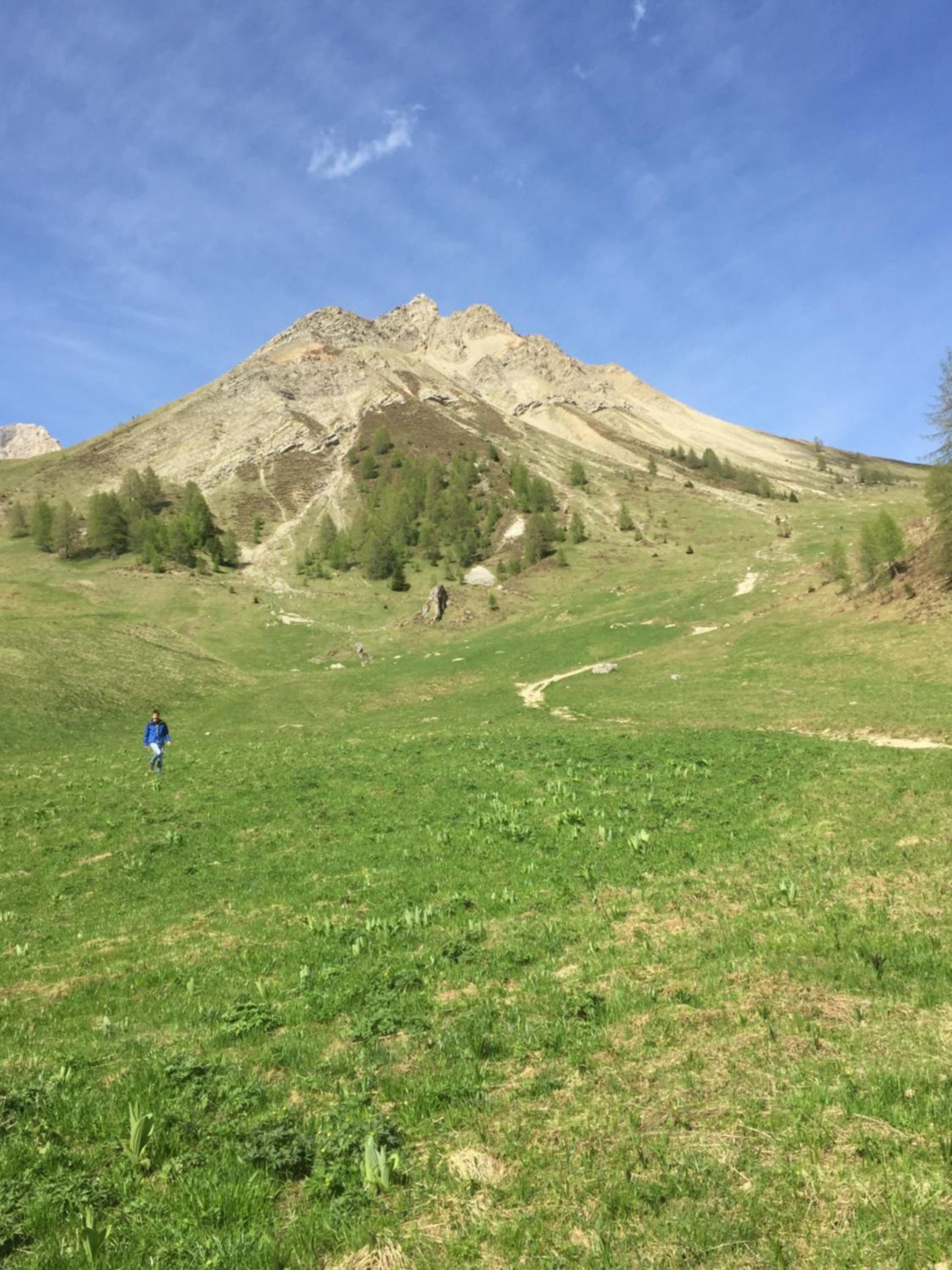 Photo 17