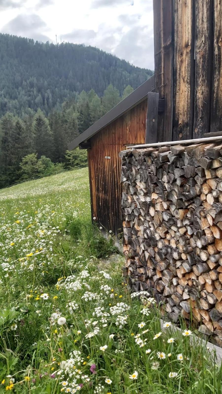 Landhaus Pitztal inklusive Sommercard