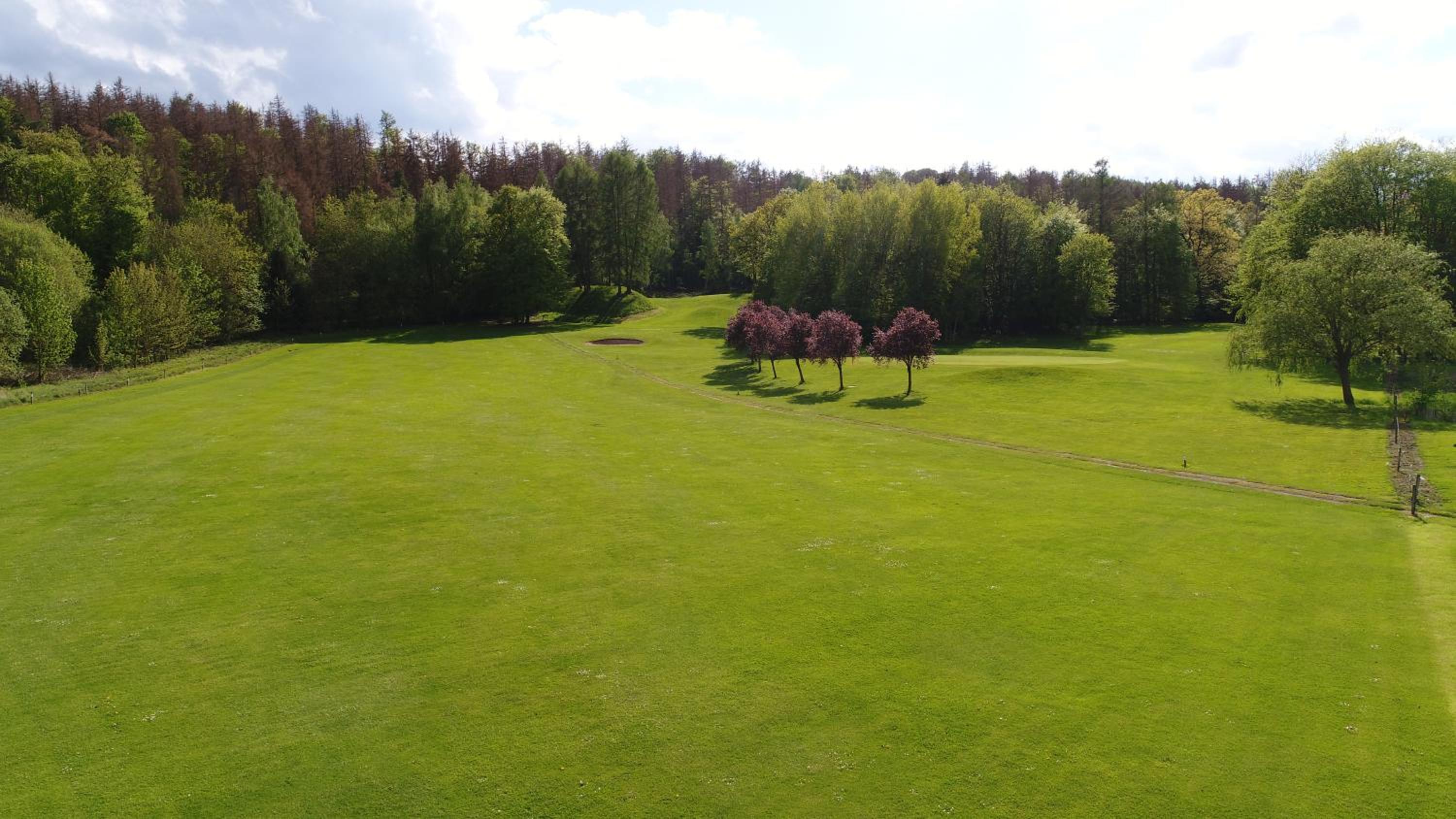 Premium-Ferienhaus Extertal Ferienpark - Natur Erholung Sauna Familie
