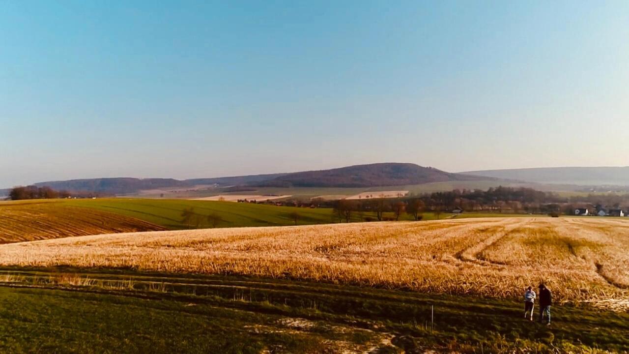 Premium-Ferienhaus Extertal Ferienpark - Natur Erholung Sauna Familie