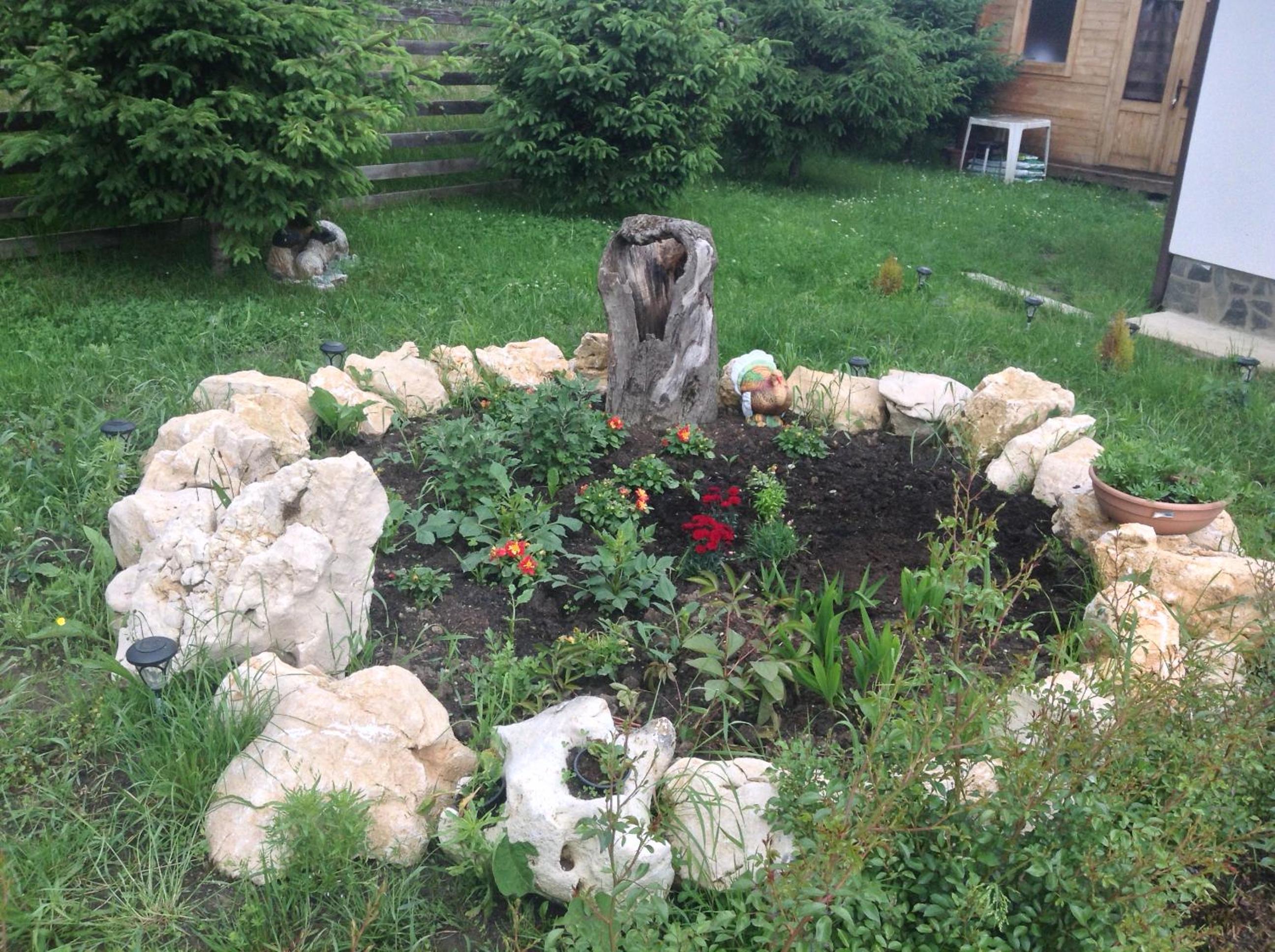 Photo 6
