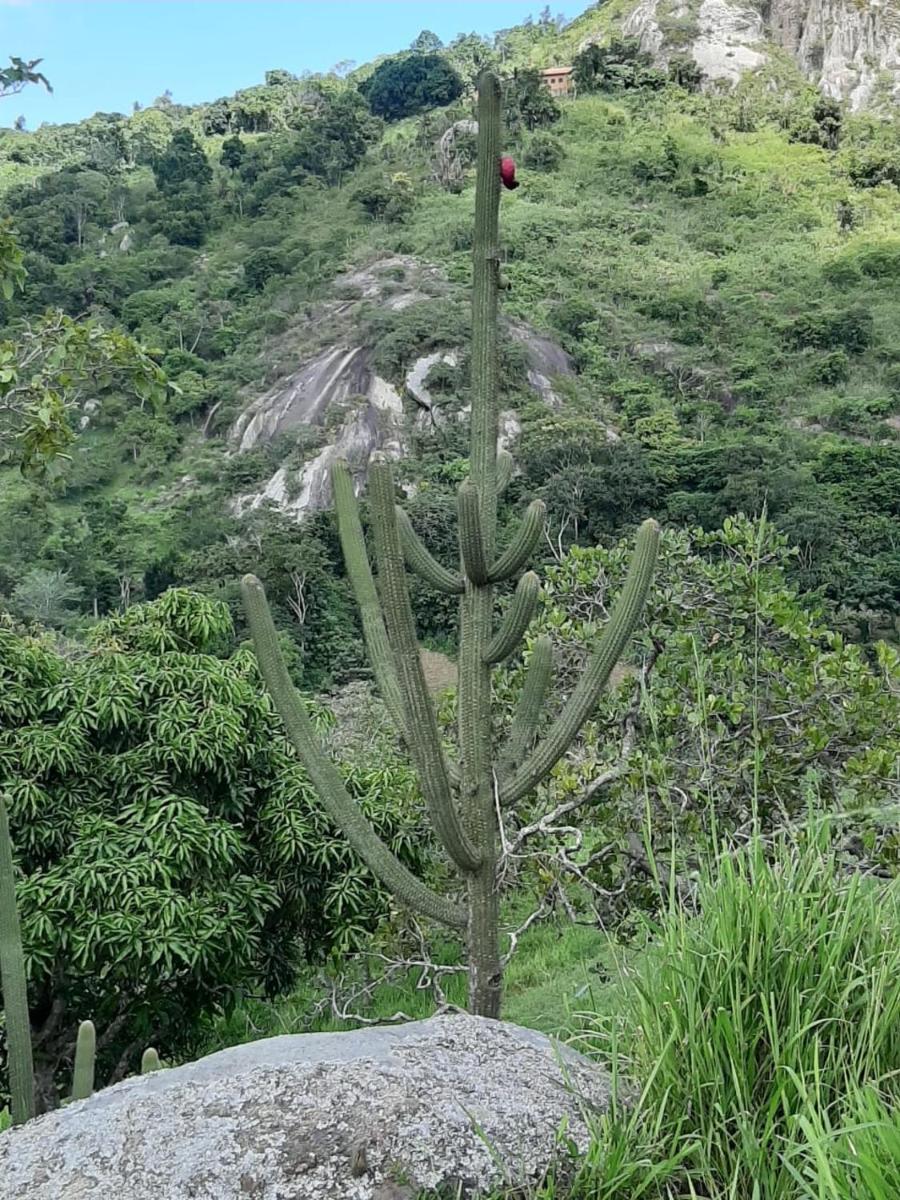 Flat condomínio paraíso serra negra