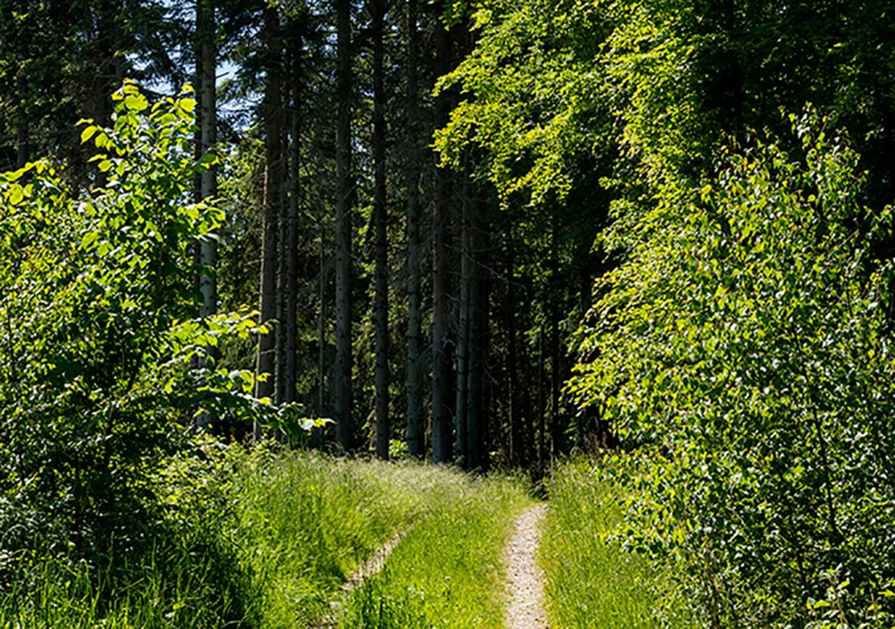 Svenskebakken Bed & Breakfast