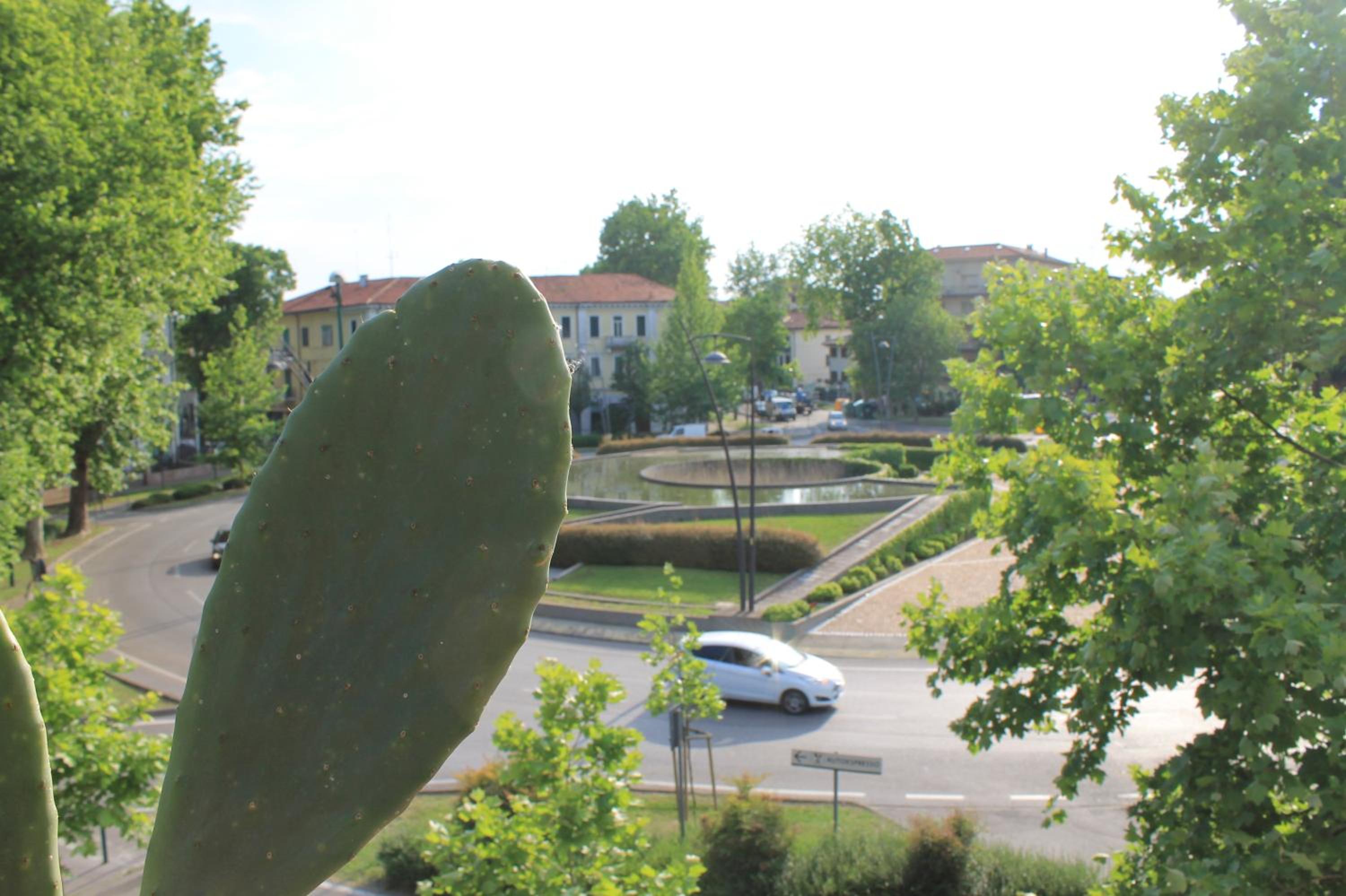 Photo 42