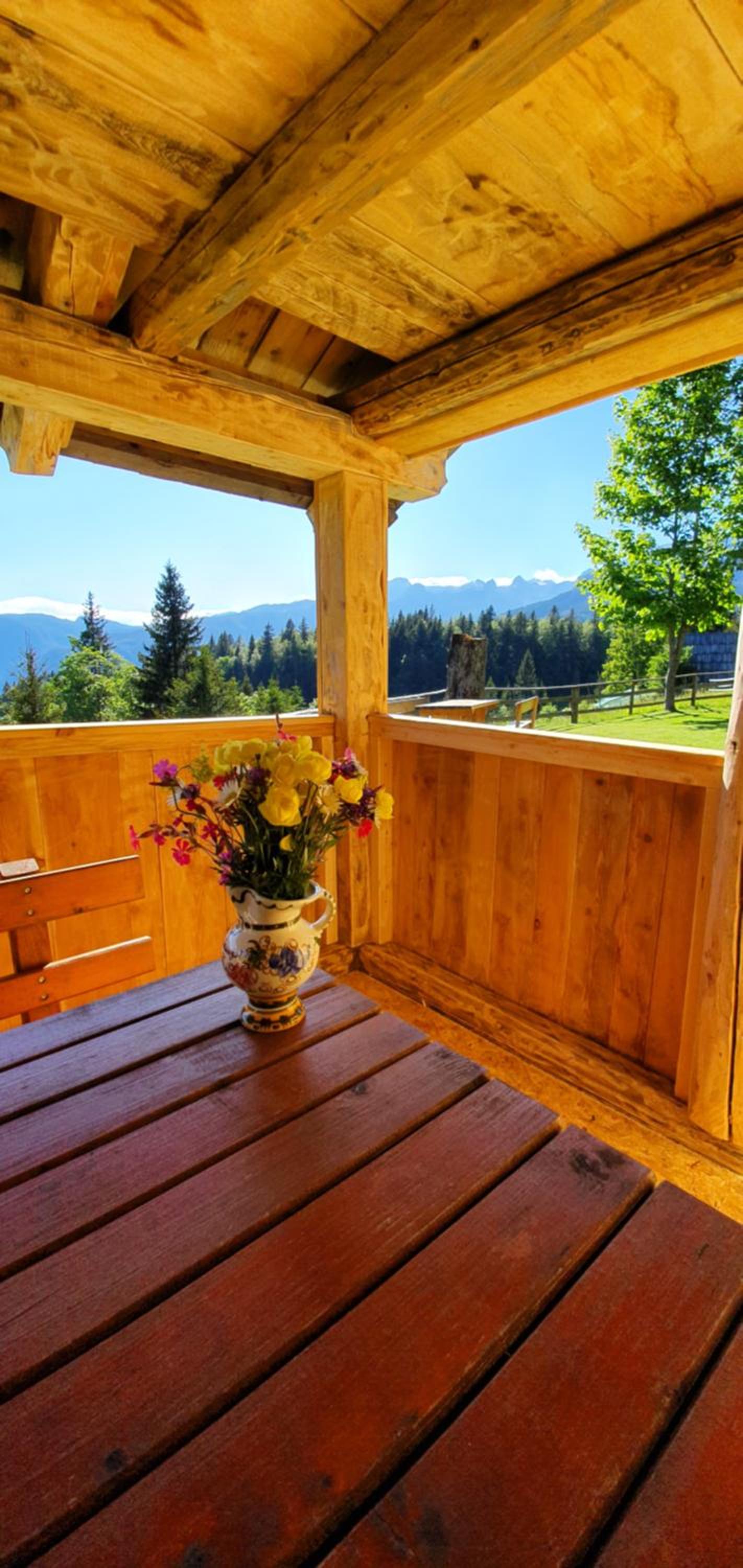 Holiday house Žvan na Pokljuki