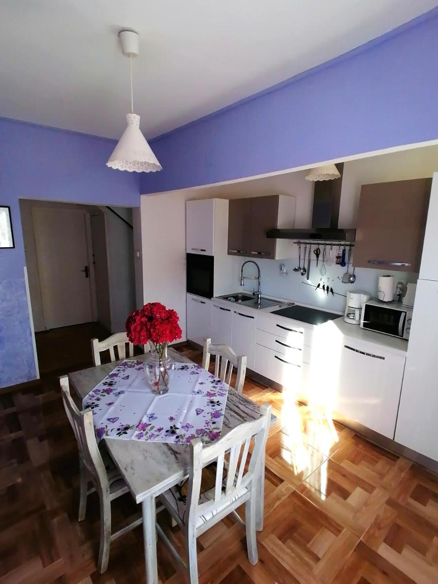 Apartments Ani view 3