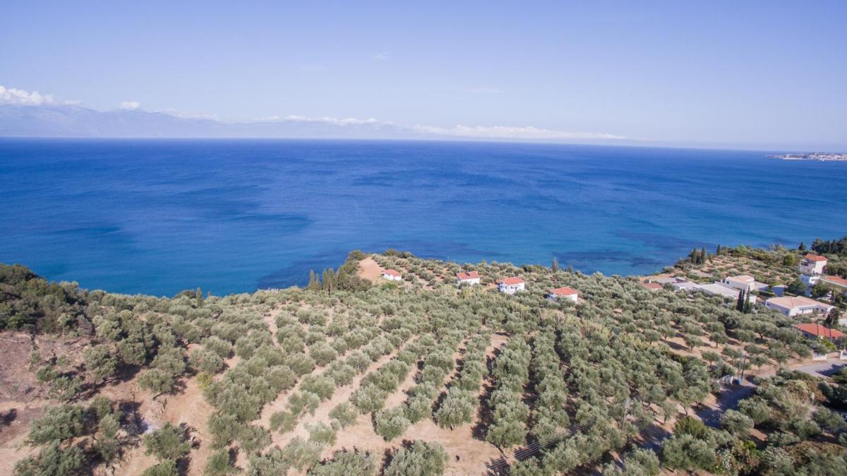 Papavasilopoulos Estate 2 - (300m from Peroulia Beach) view 5