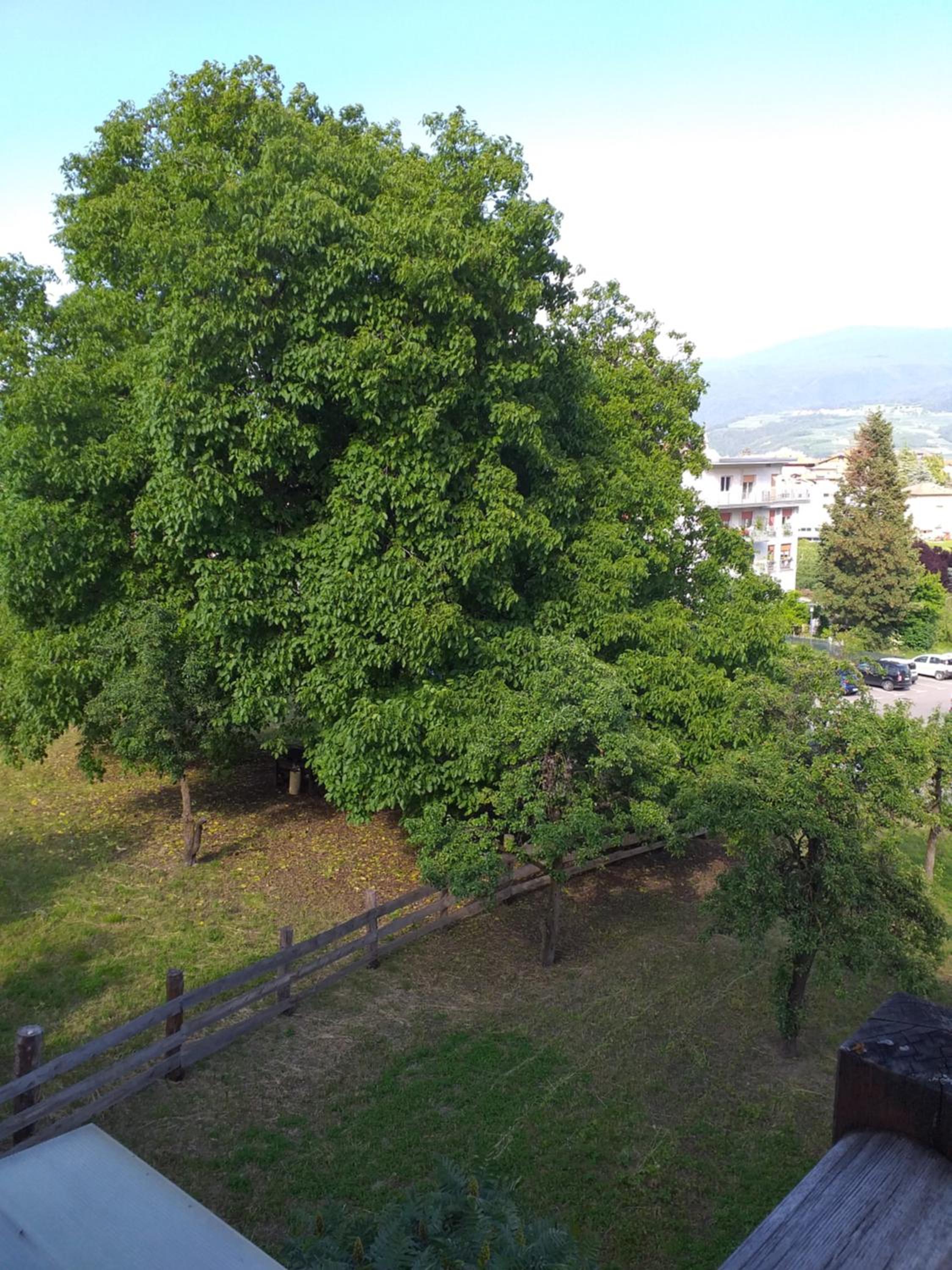 B&B Las Vegan view 3
