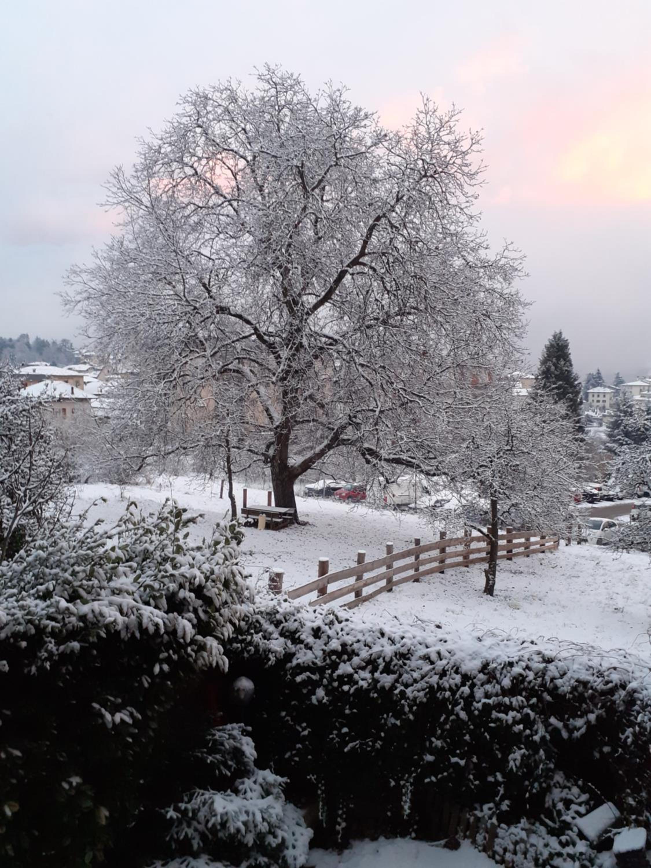 B&B Las Vegan view 2