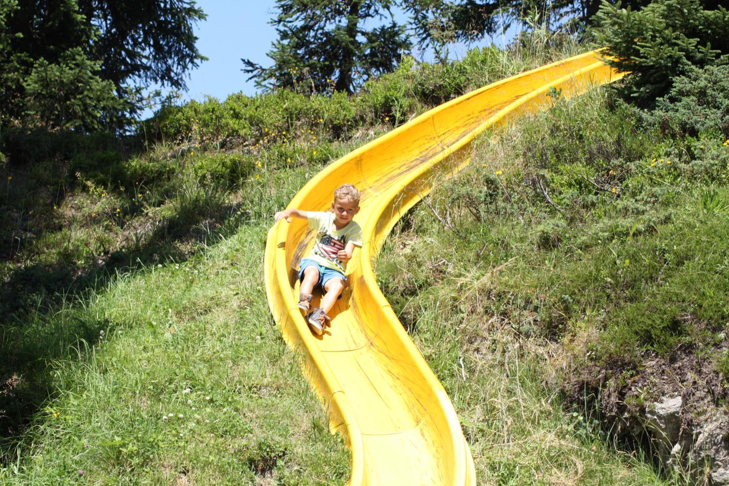 Photo 30