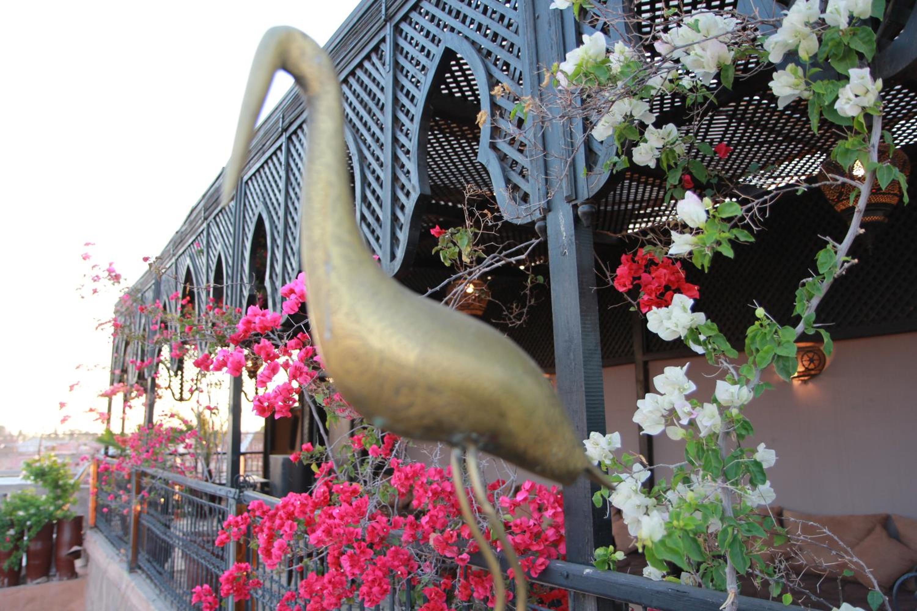 Riad Terra Bahia