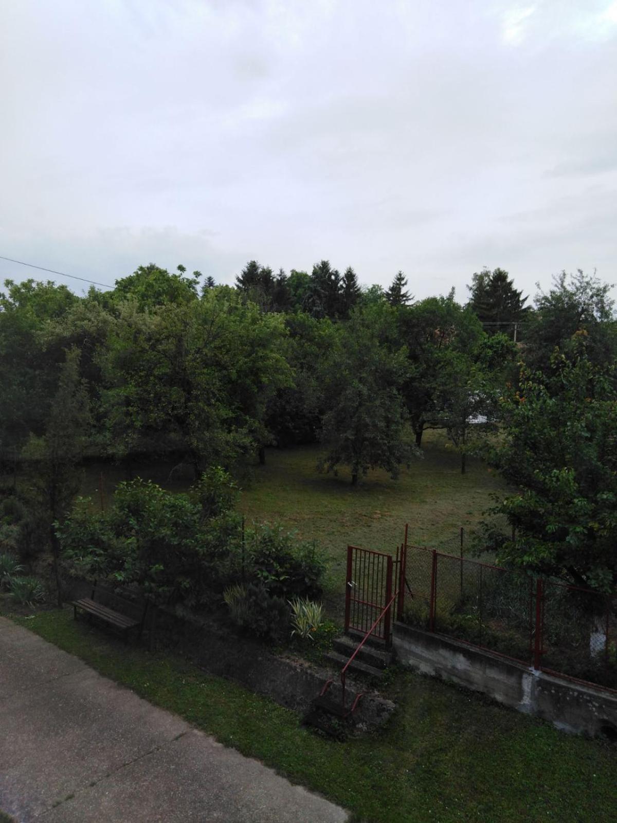 Photo 29