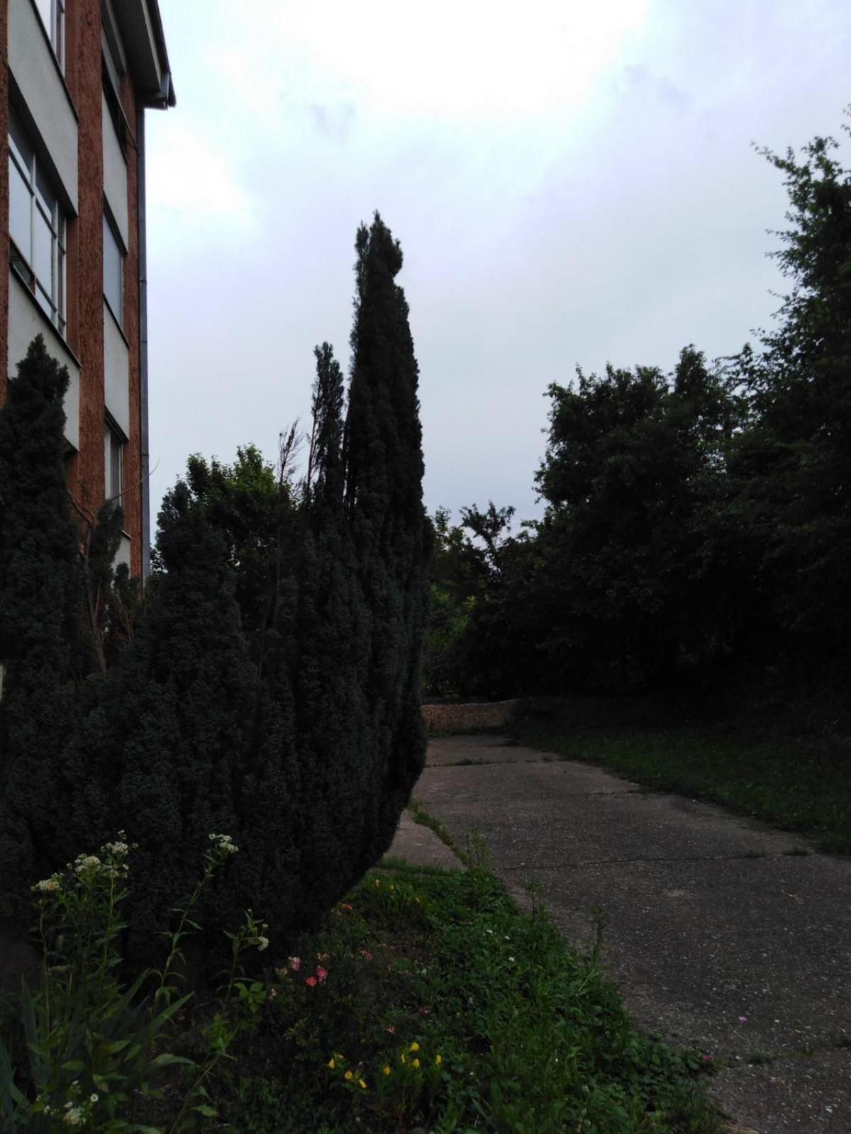 Photo 28
