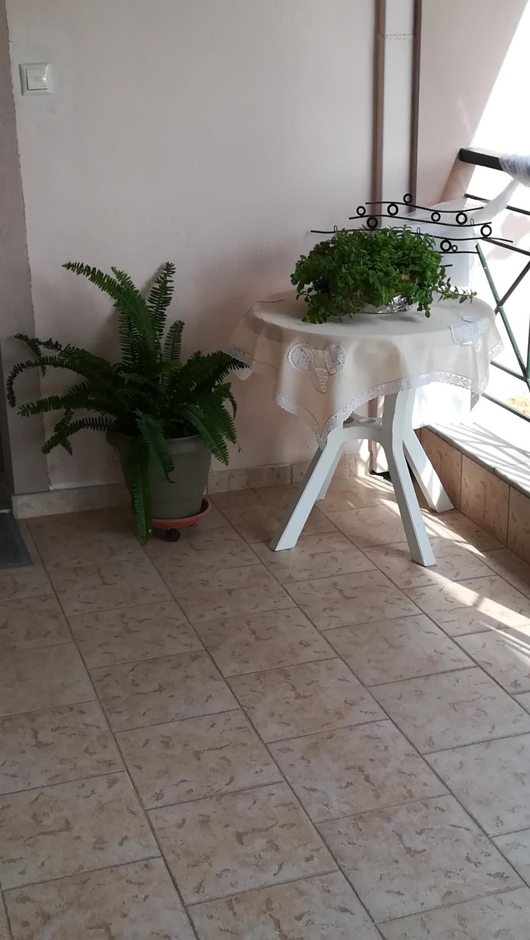Photo 31