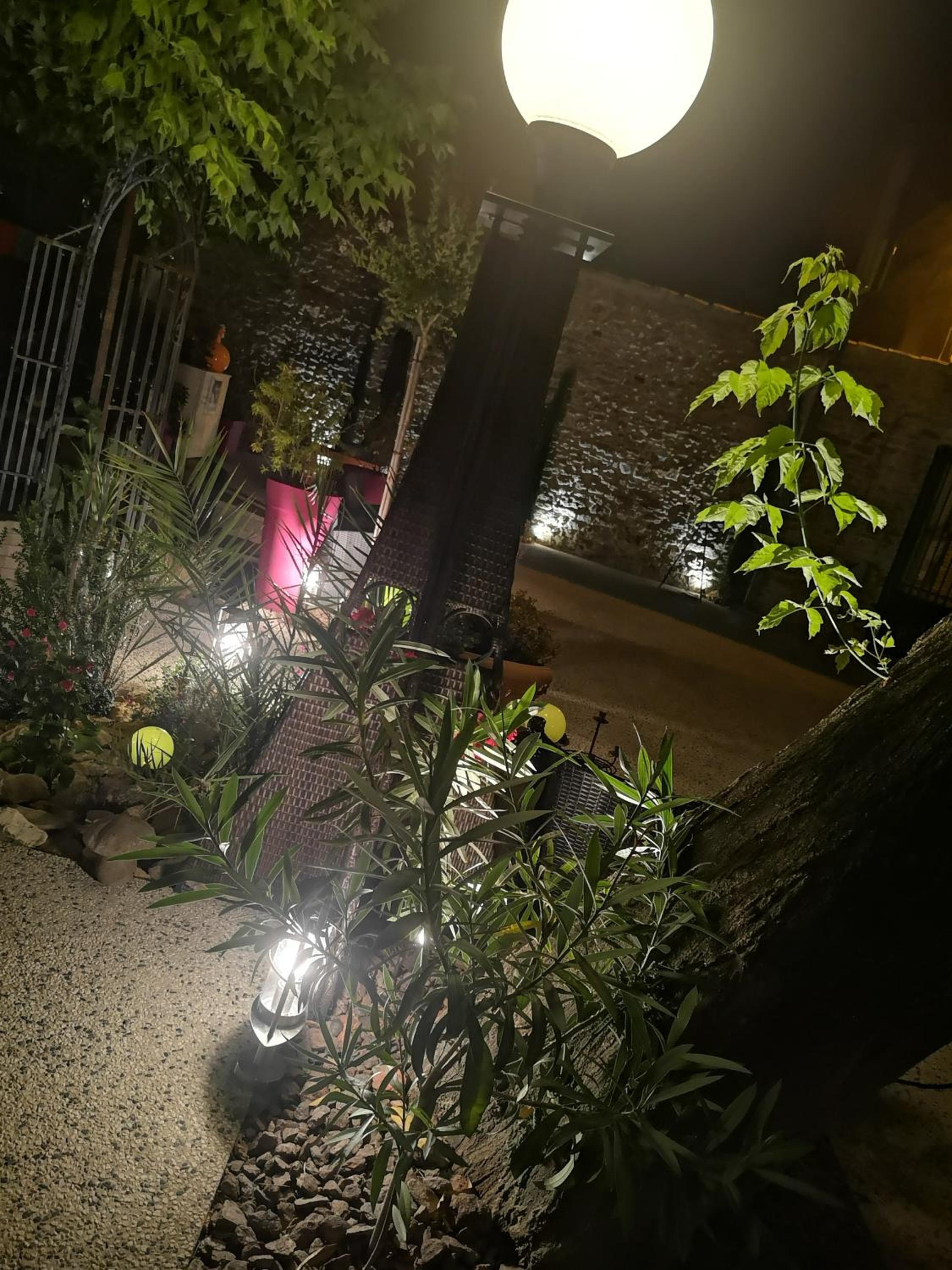 garden