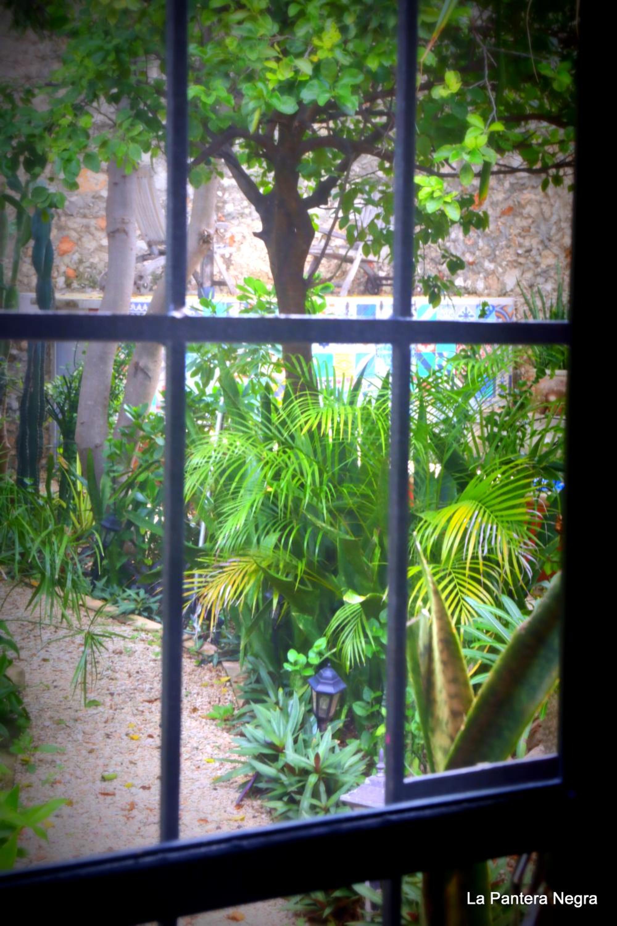 Photo 46