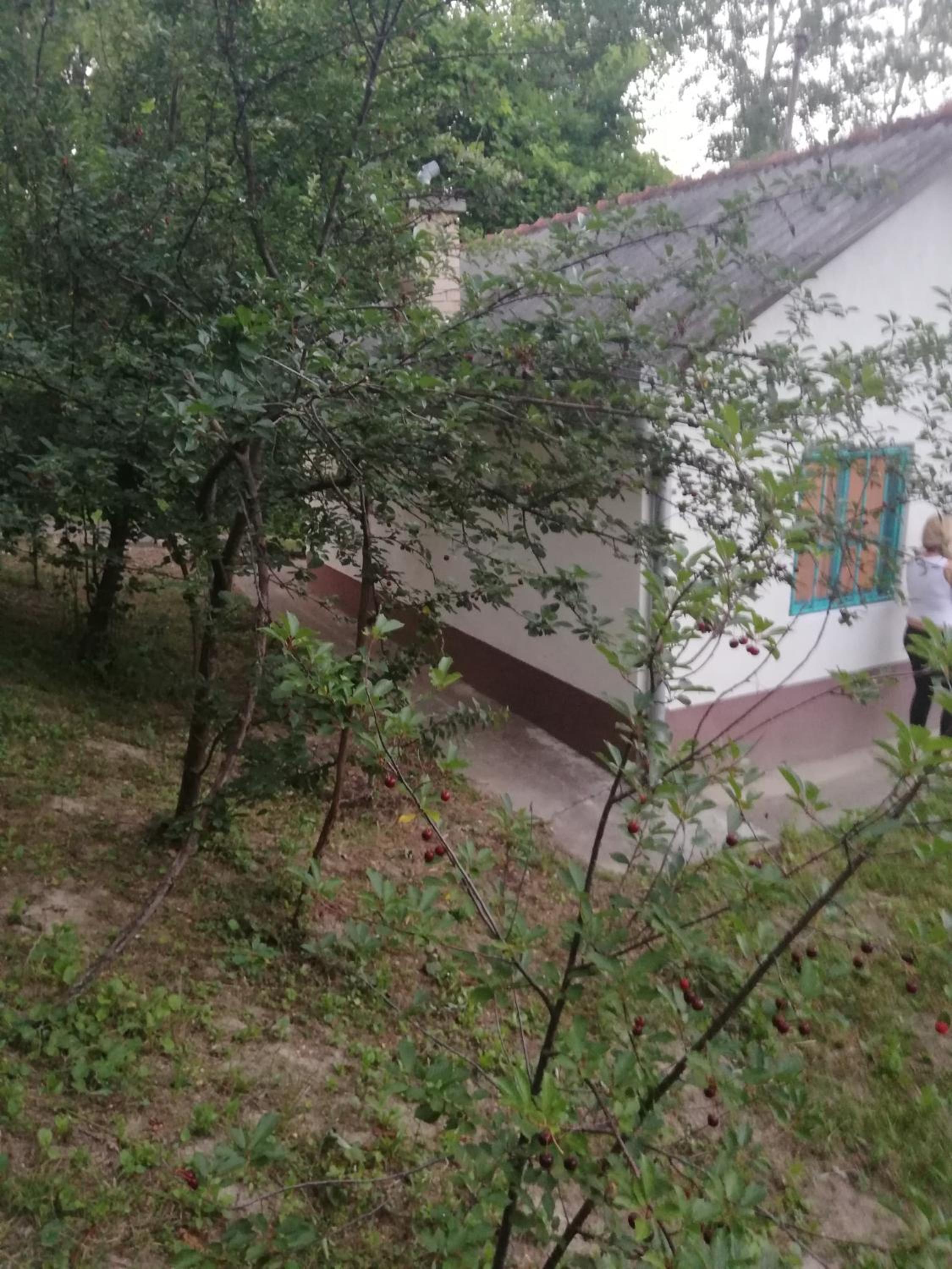 Photo 16