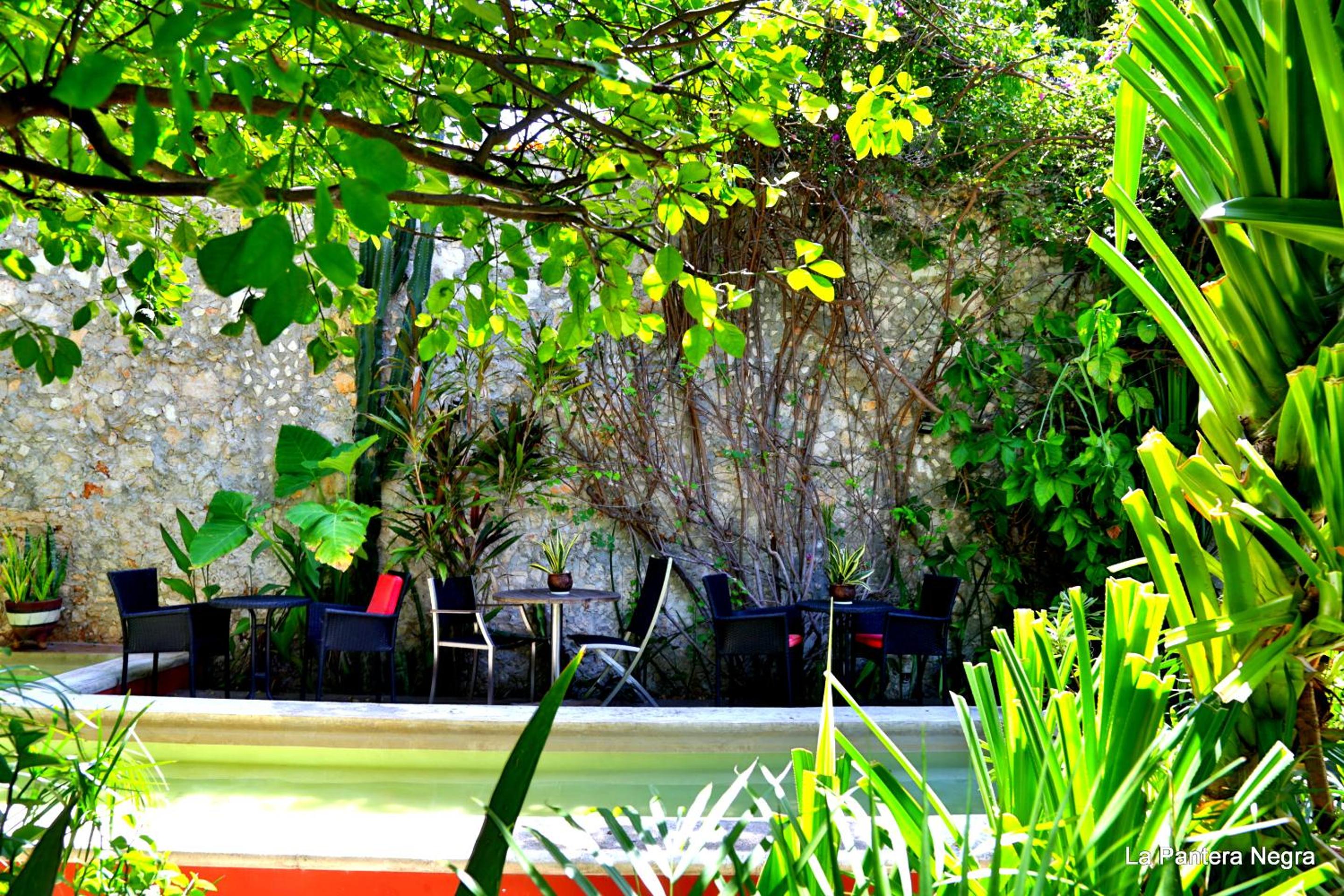 Photo 35