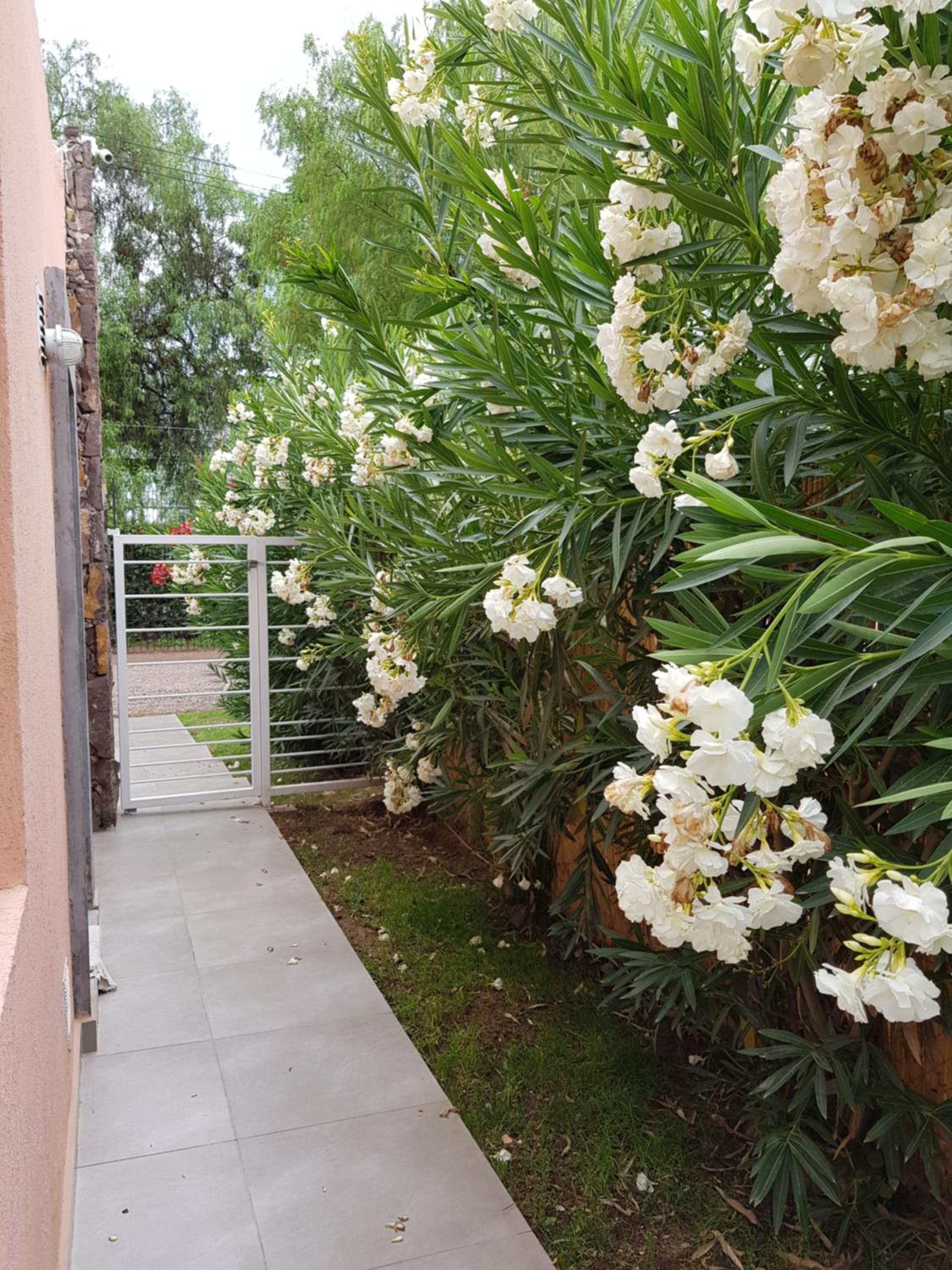 Cabaña Loft La Ribera