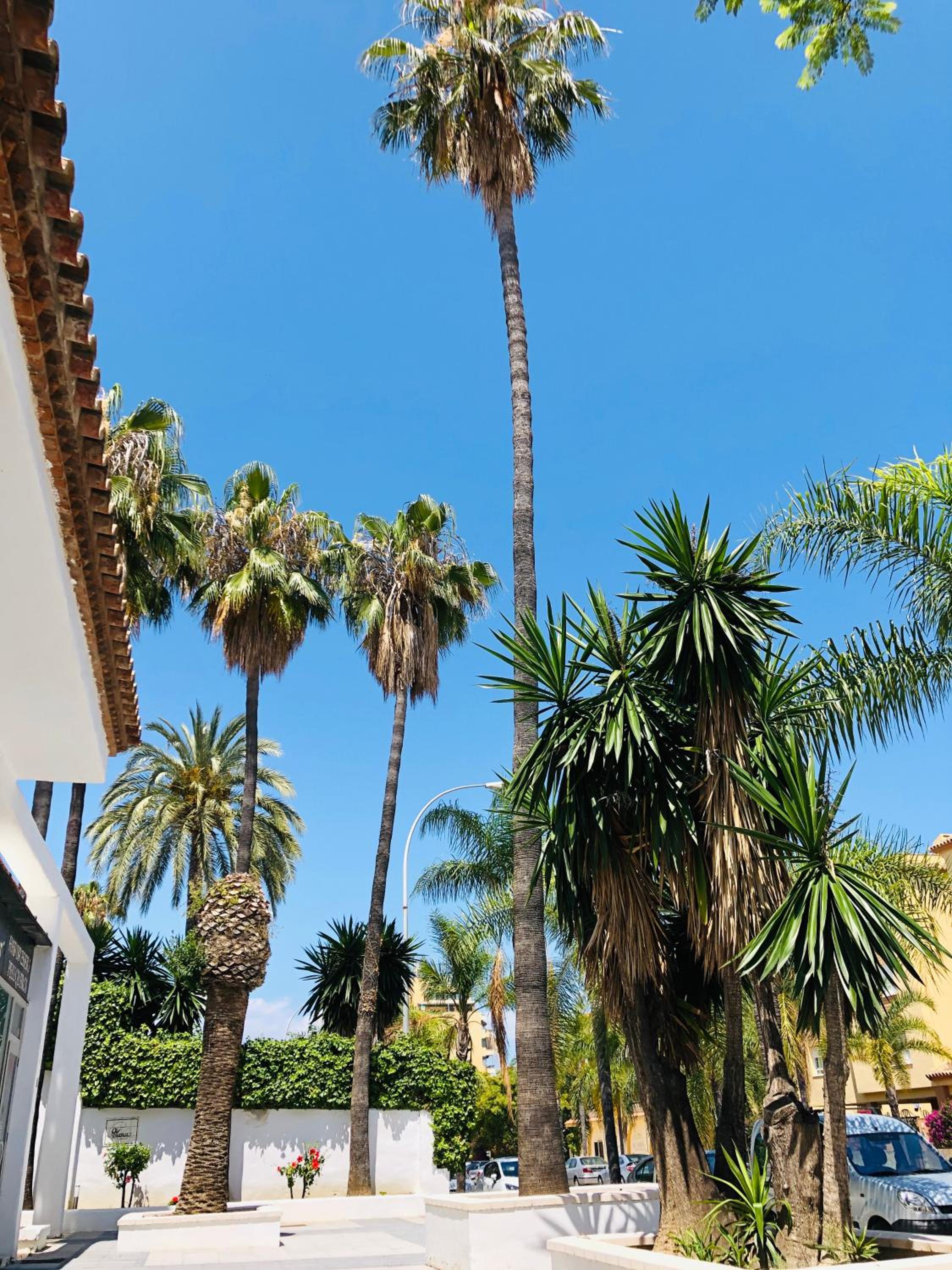 Luxury Carihuela Beach