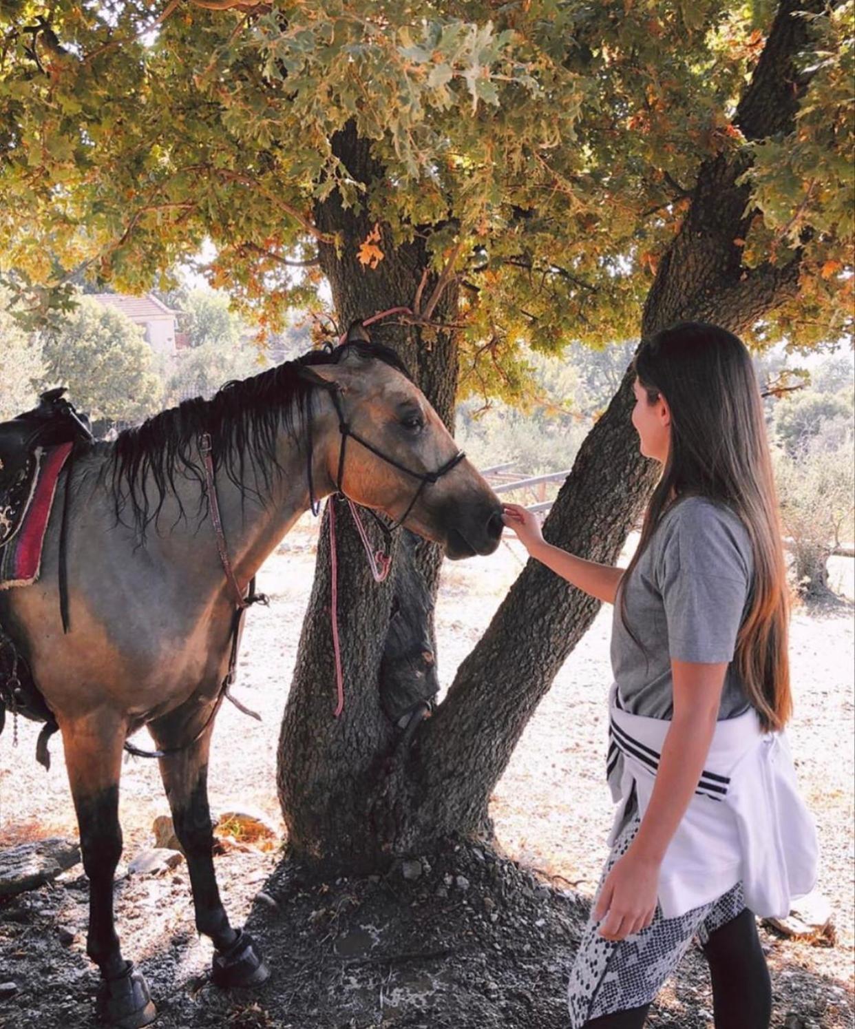 Toumba Eco Farm Guesthouses