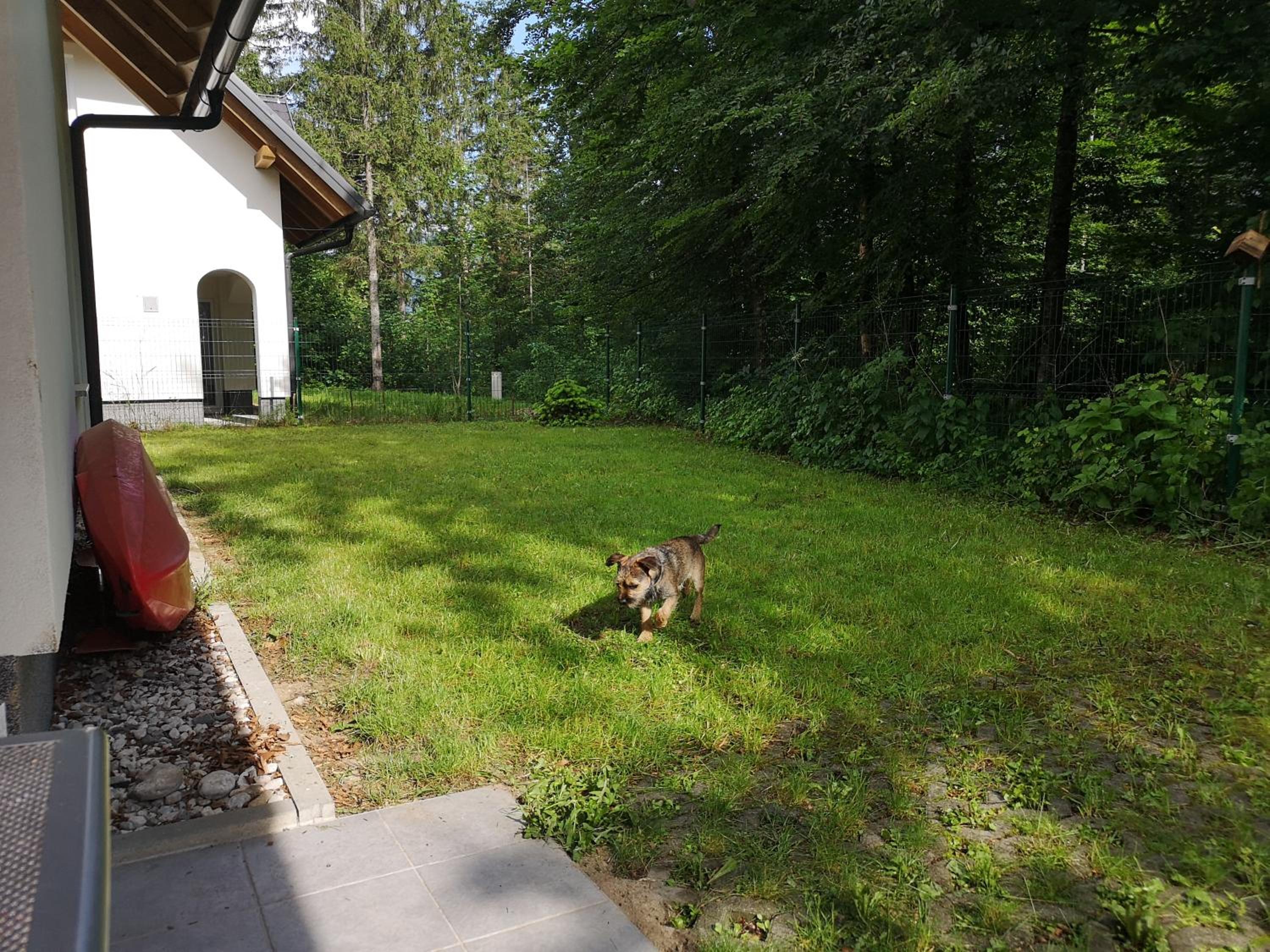 Photo 25