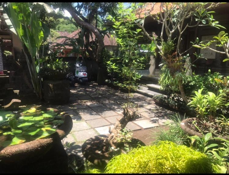 Arsa Wayan Guest House view 5
