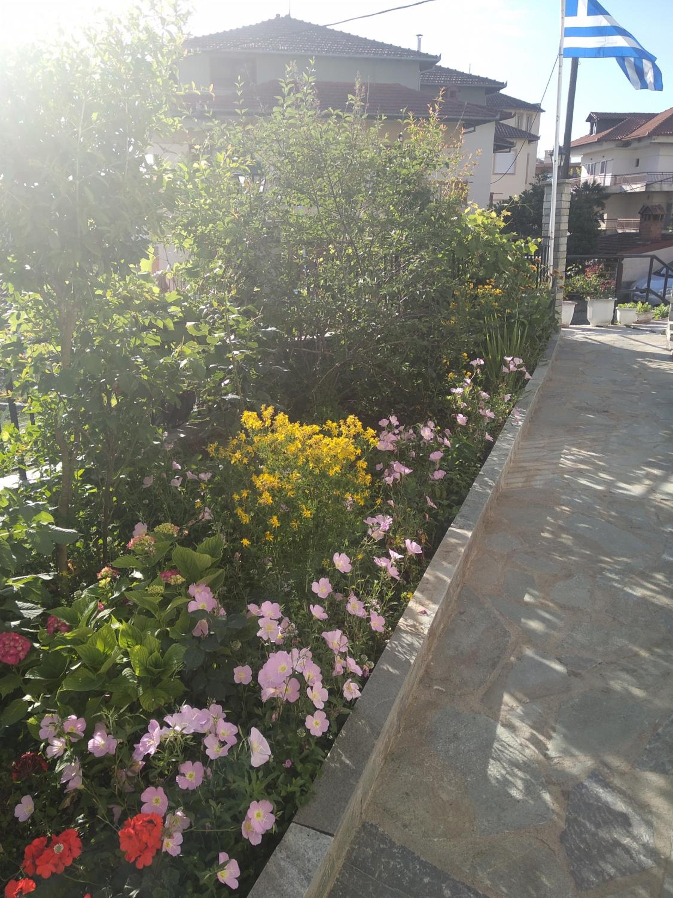 Refugio entre montañas photo 5