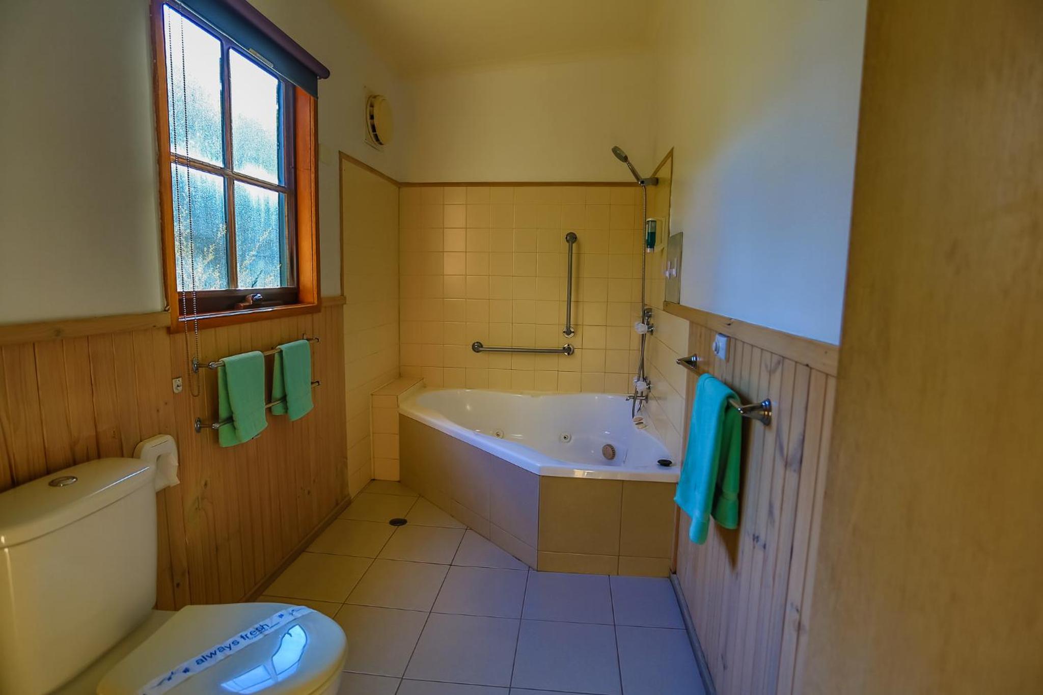 Mountain View Motor Inn & Holiday Lodges