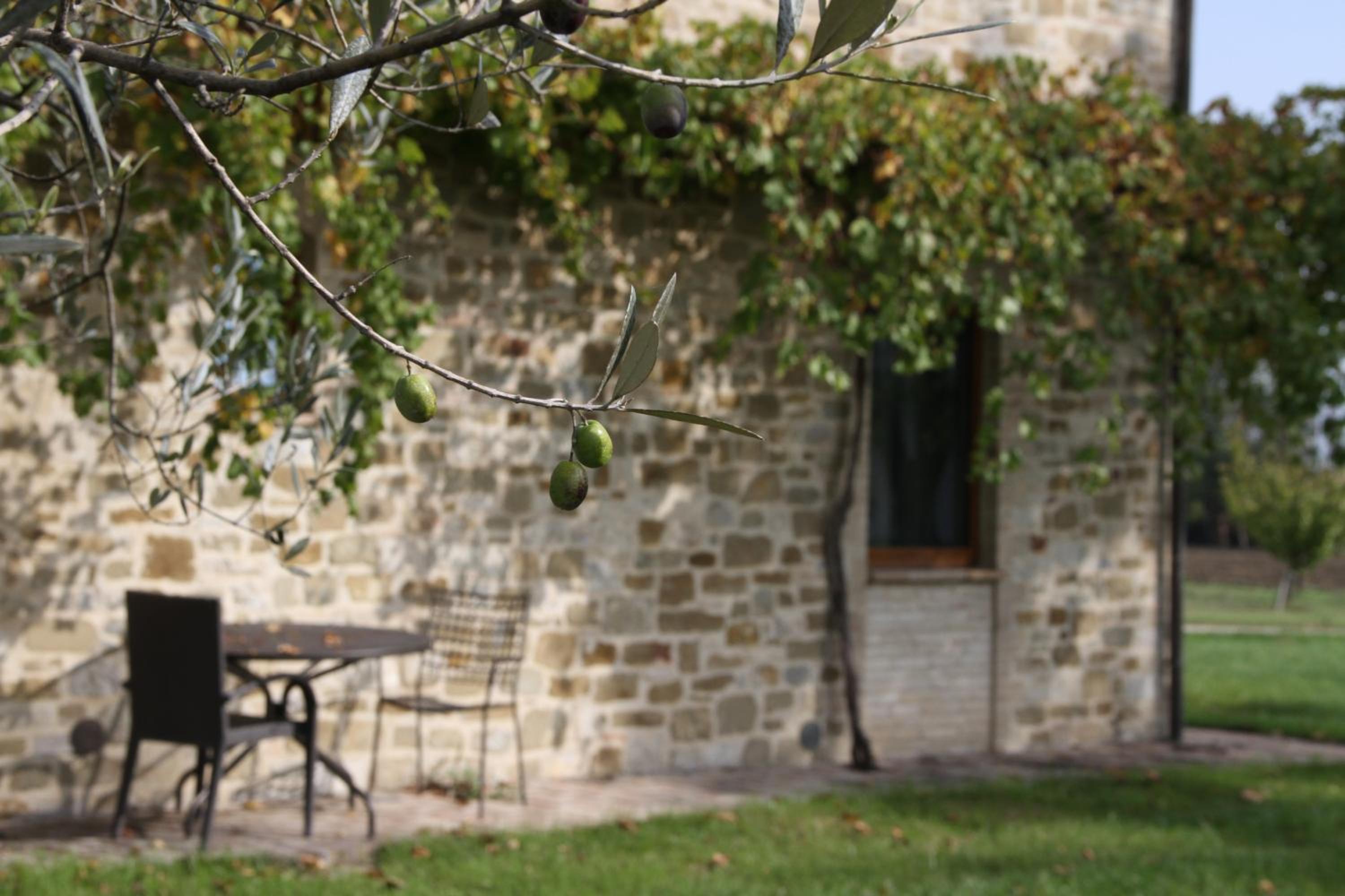Valle di Assisi Country Apartments