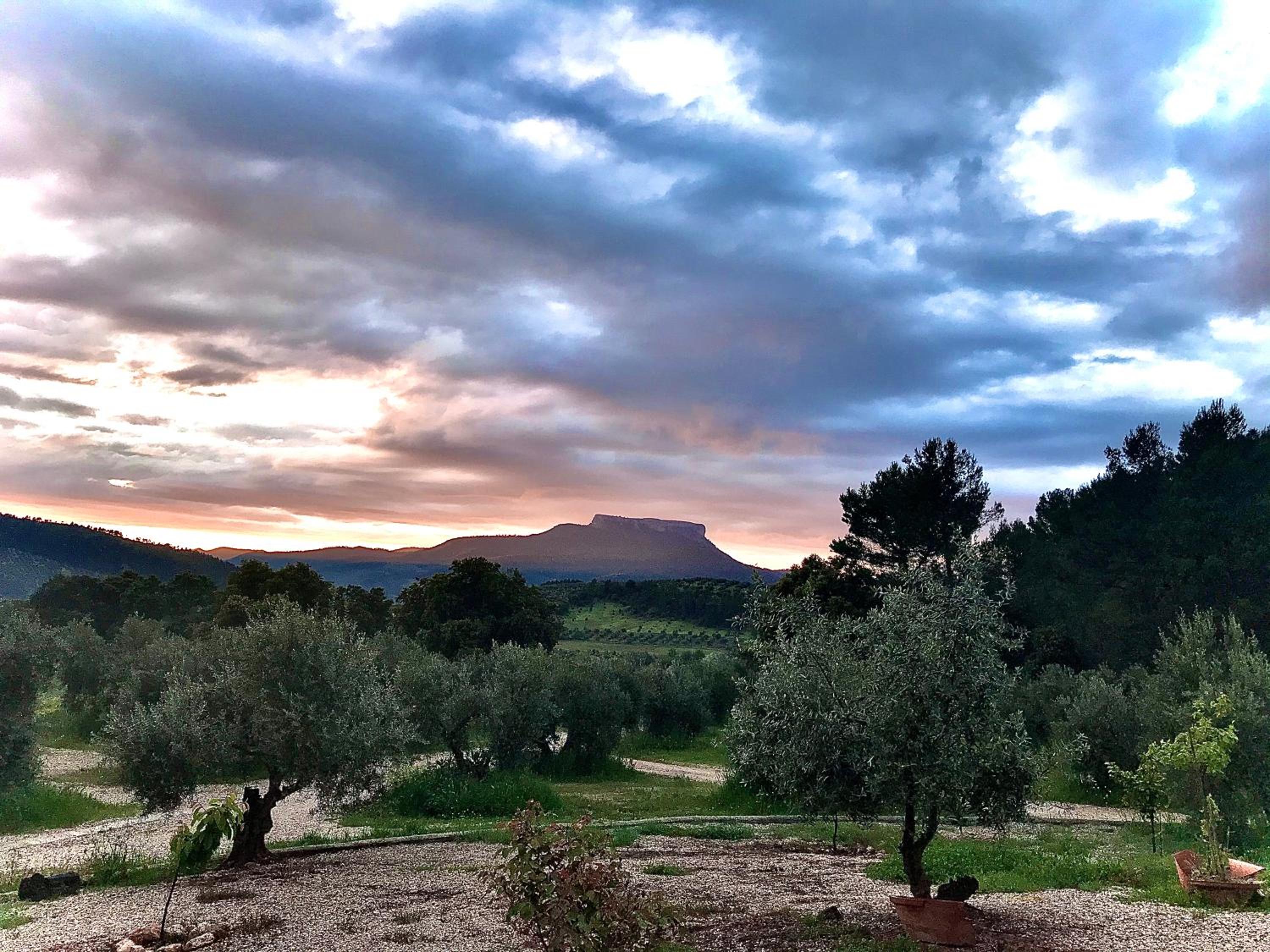 Casa Rural Cortijo La Ajedrea