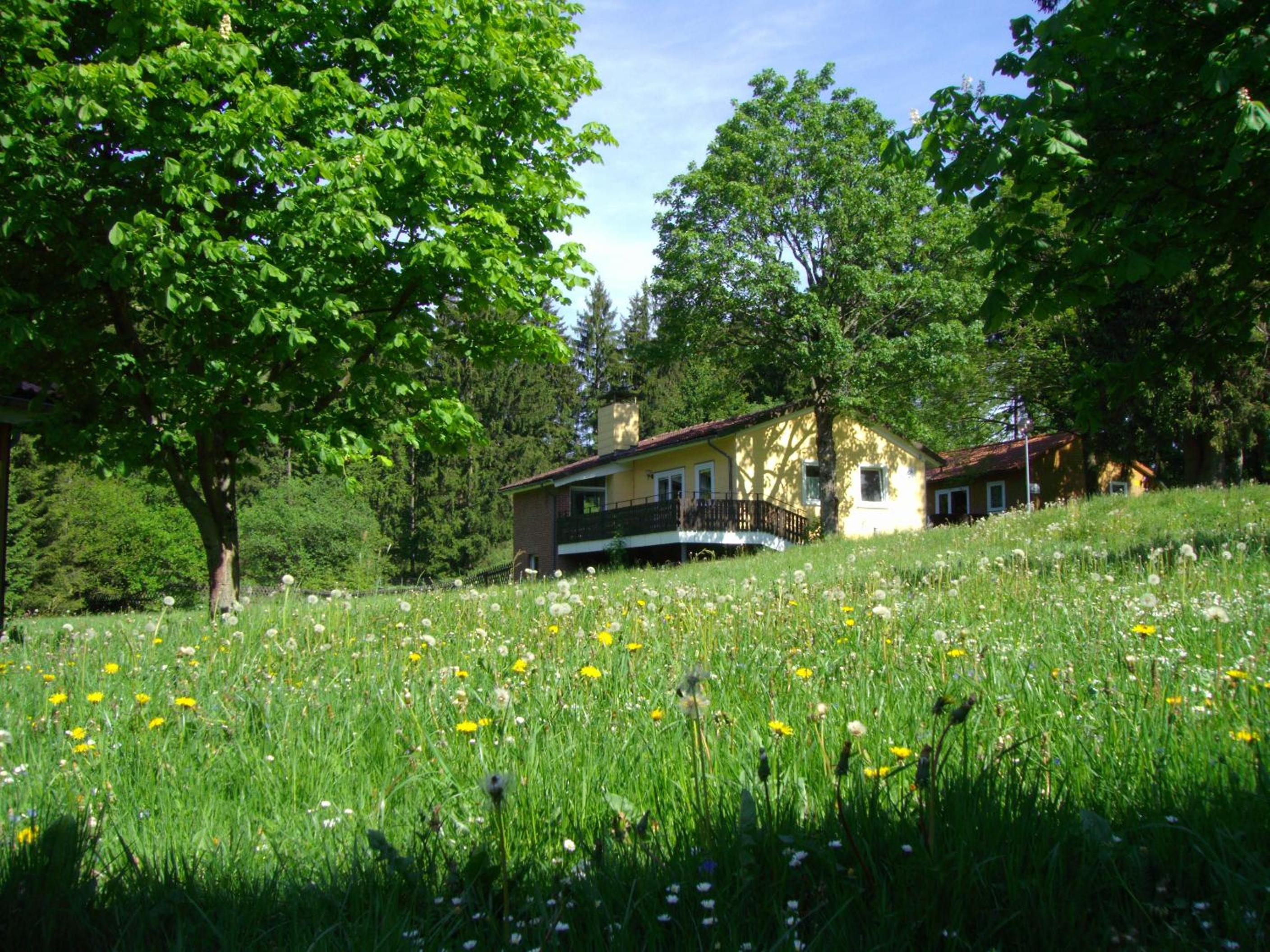 Photo 43