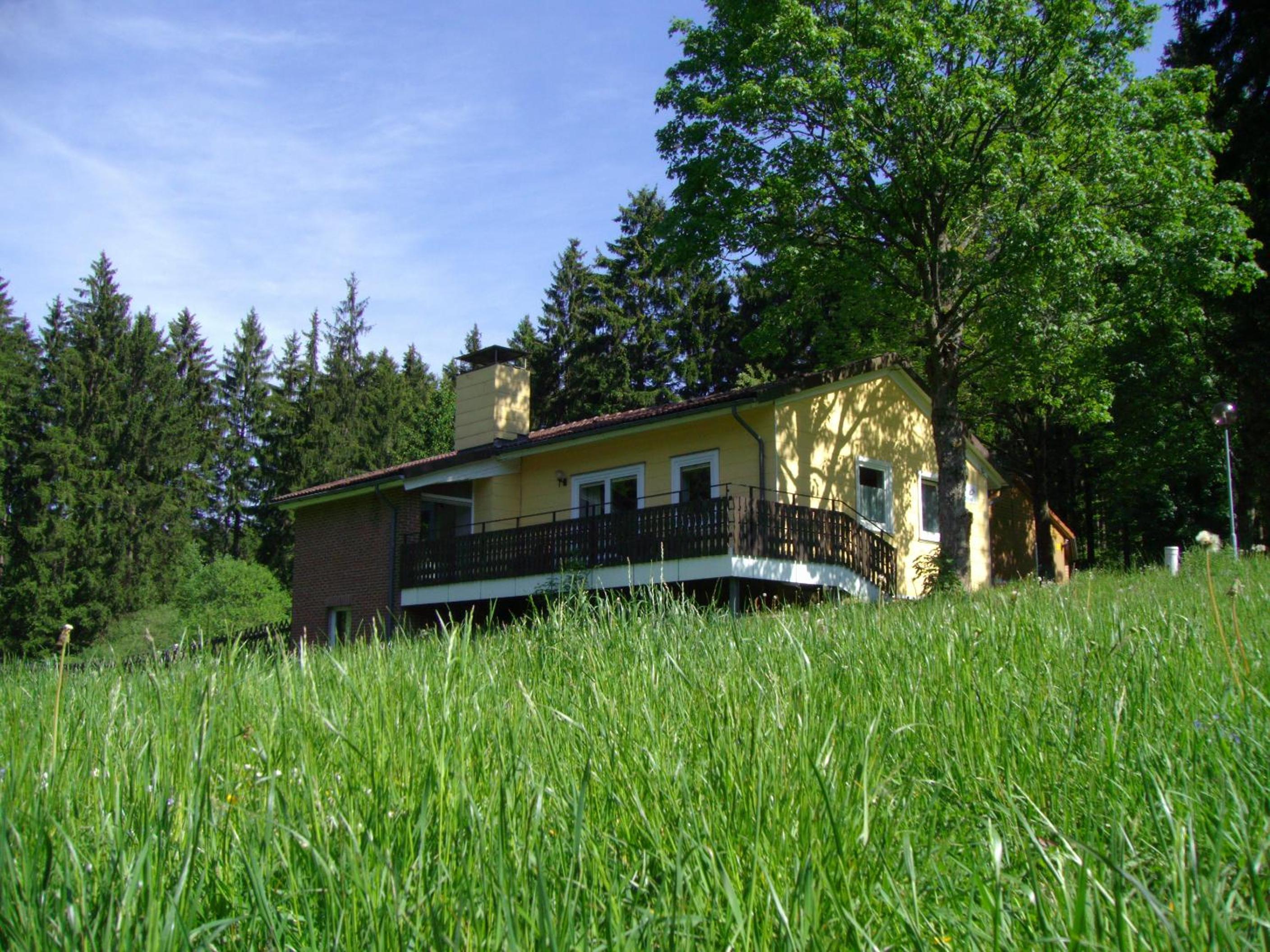 Photo 41