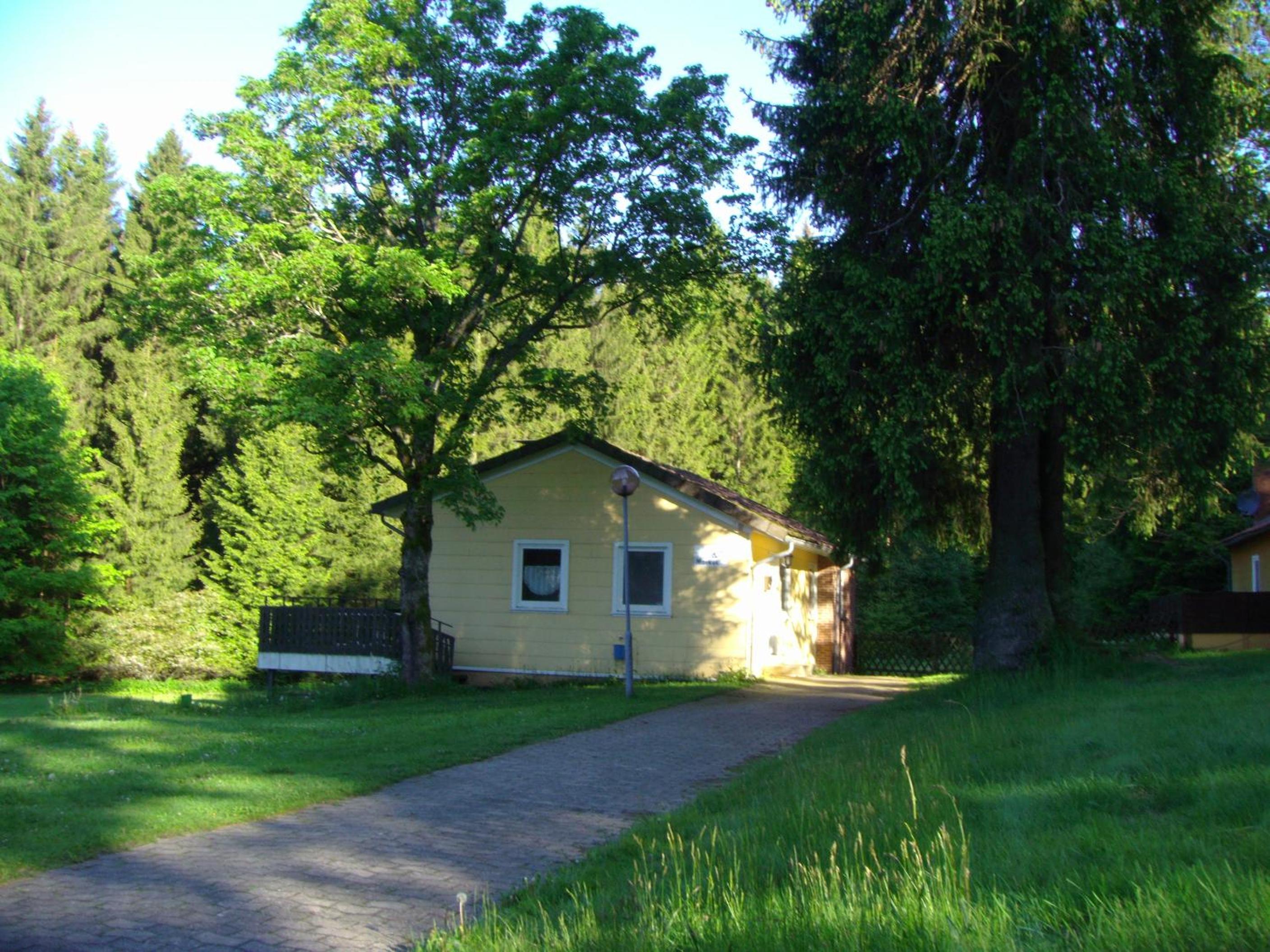 Photo 42