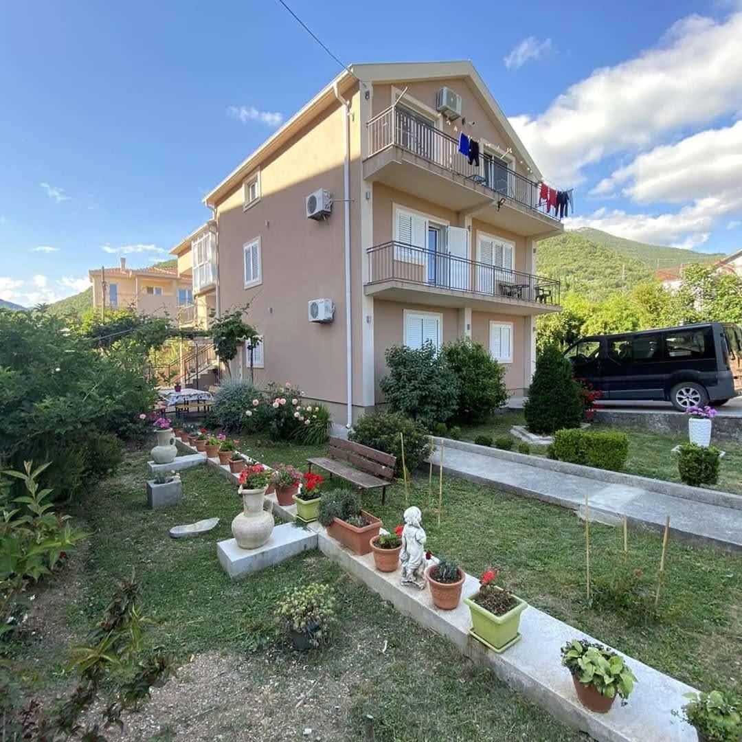 Petkovic Accommodation view 4