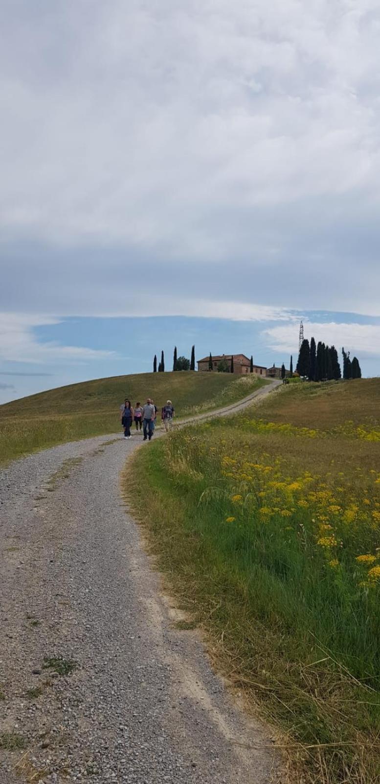 Staffolino view 5