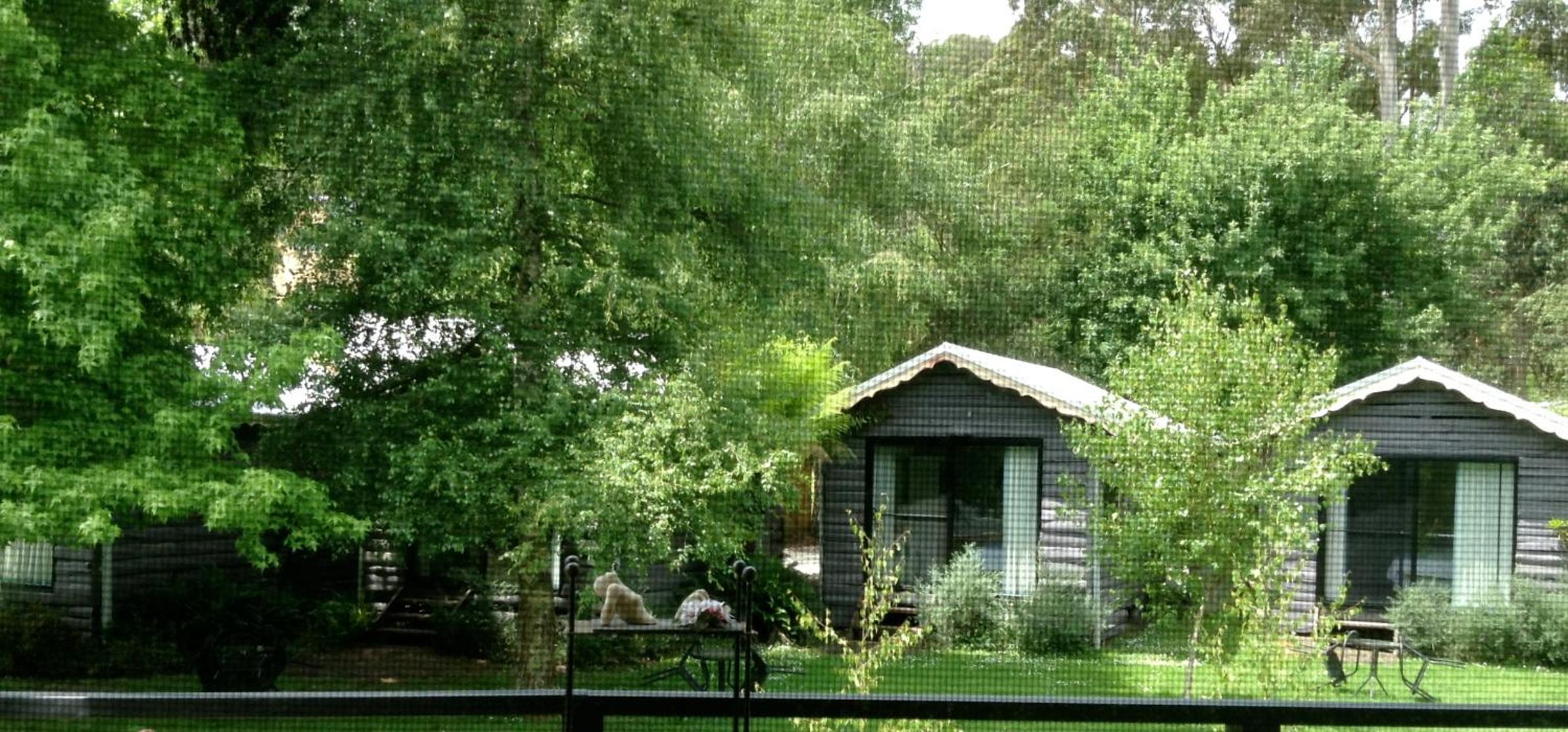 Photo 21