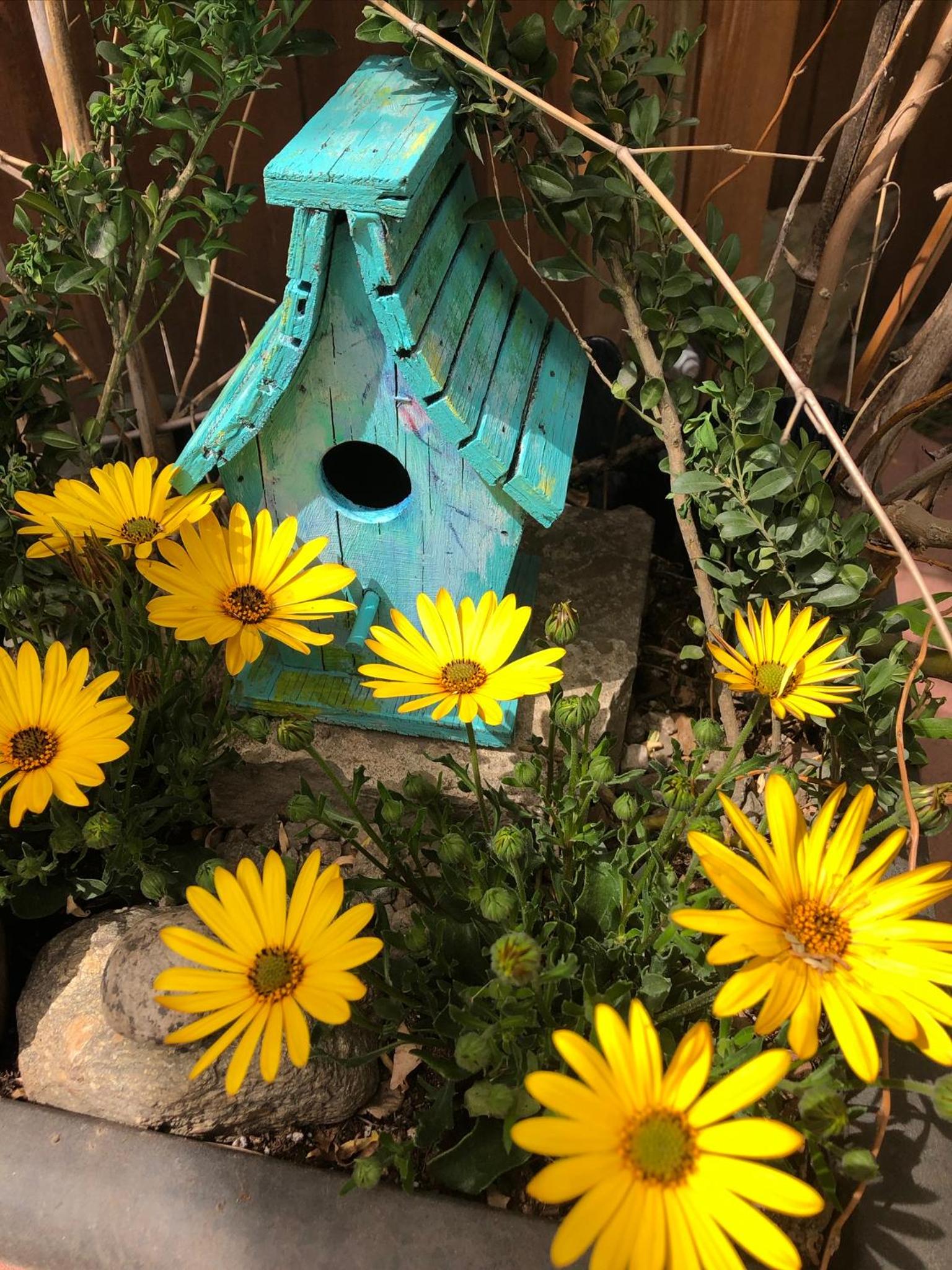 Mistiso's Place