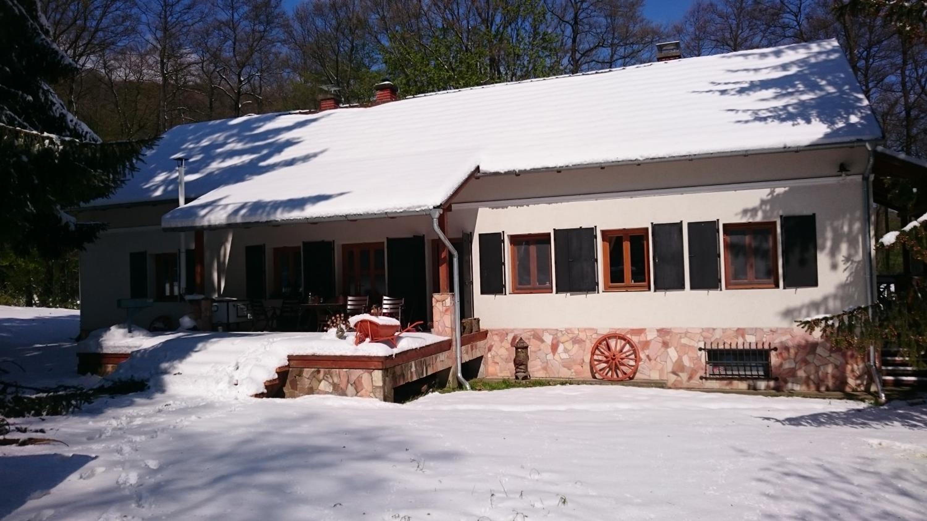 Erdő szélén házikó view 2
