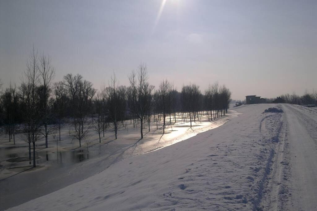 Photo 22