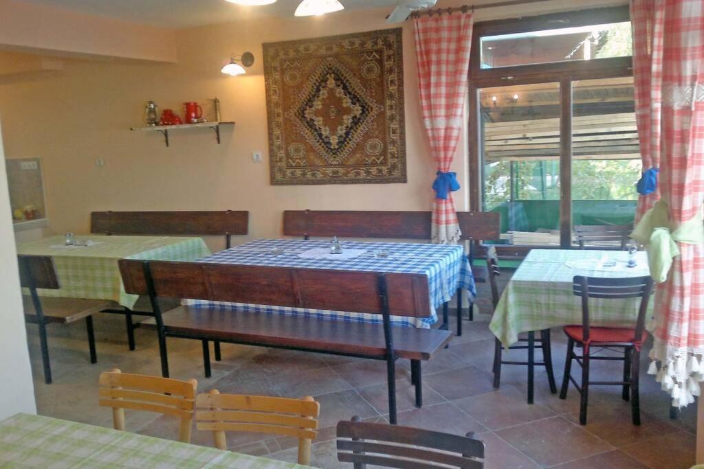 Green River House Belgrade view 3