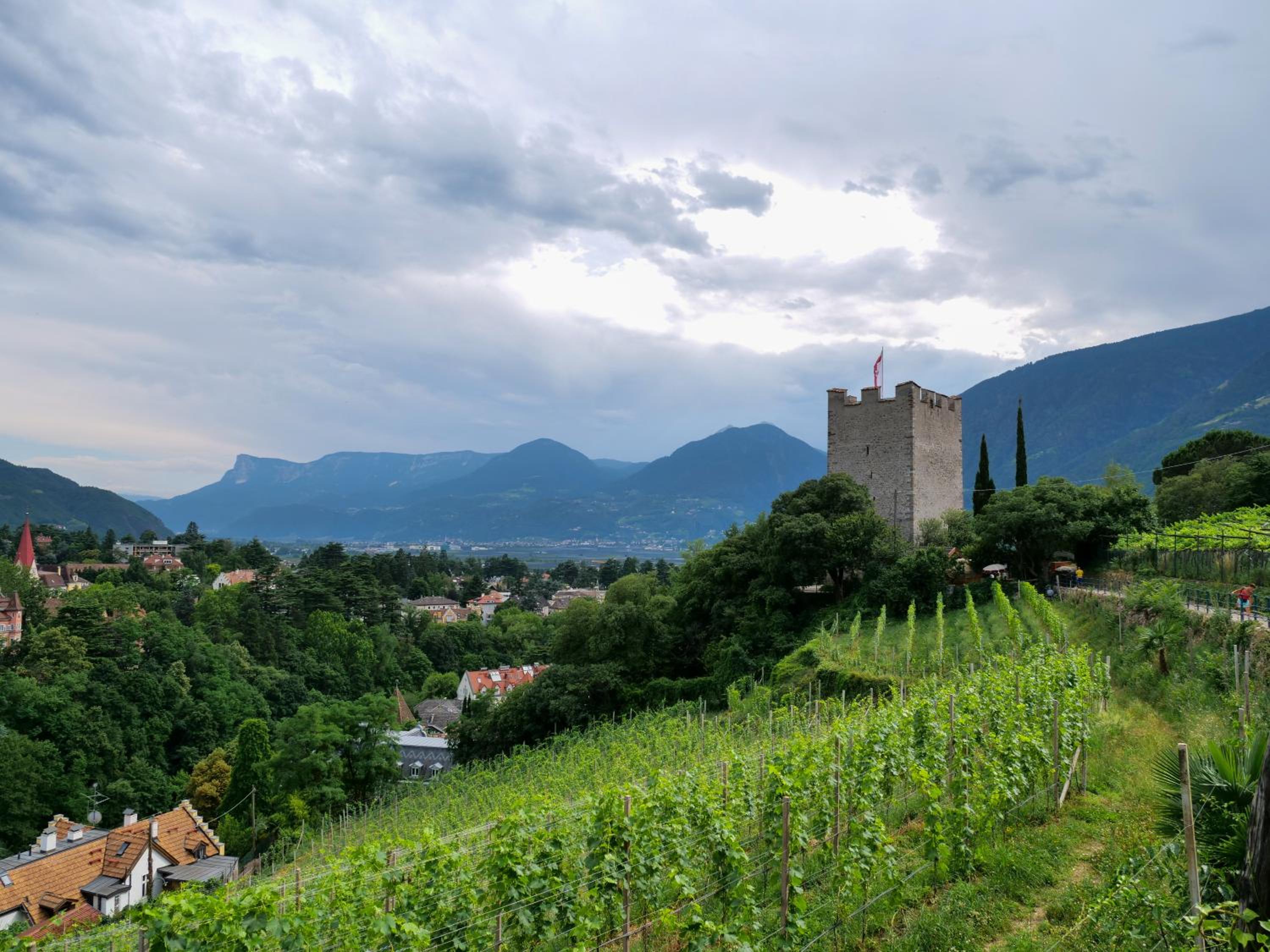 Photo 38