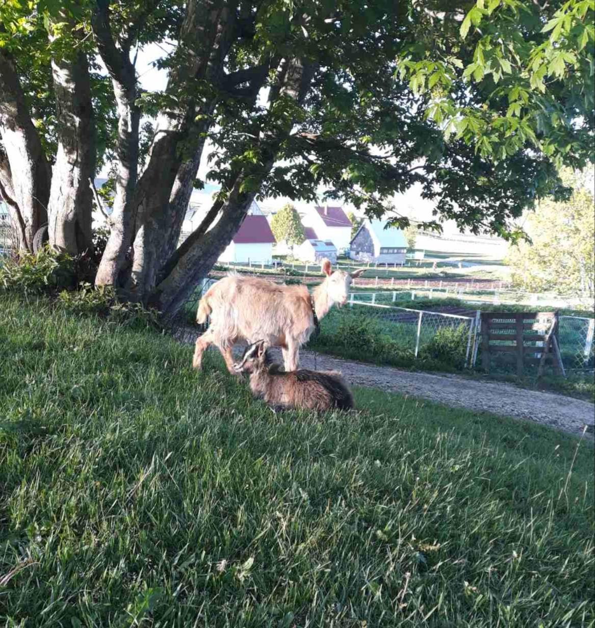 Photo 32